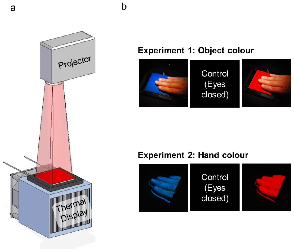 Sliding Gray Step: Perception & Color Science Activity