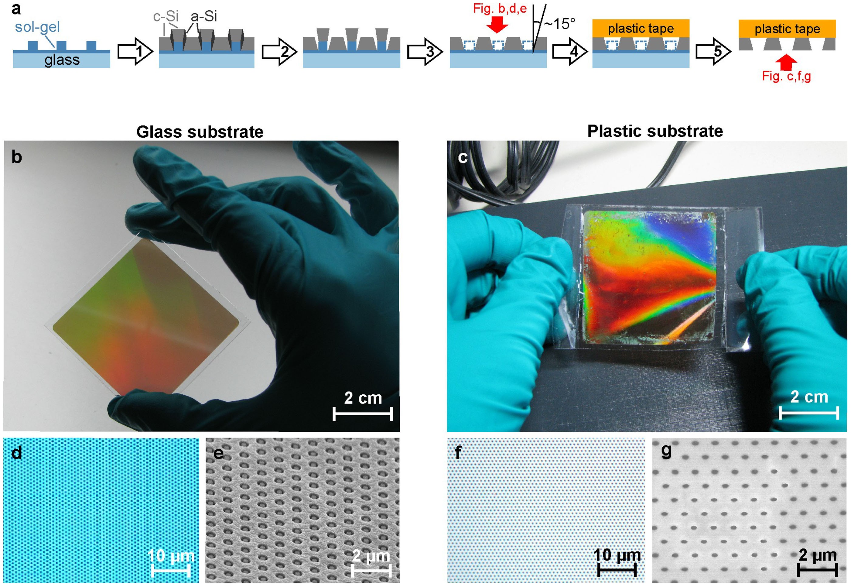 5 × 5 cm2 silicon photonic crystal slabs on glass and plastic foil  exhibiting broadband absorption and high-intensity near-fields | Scientific  Reports
