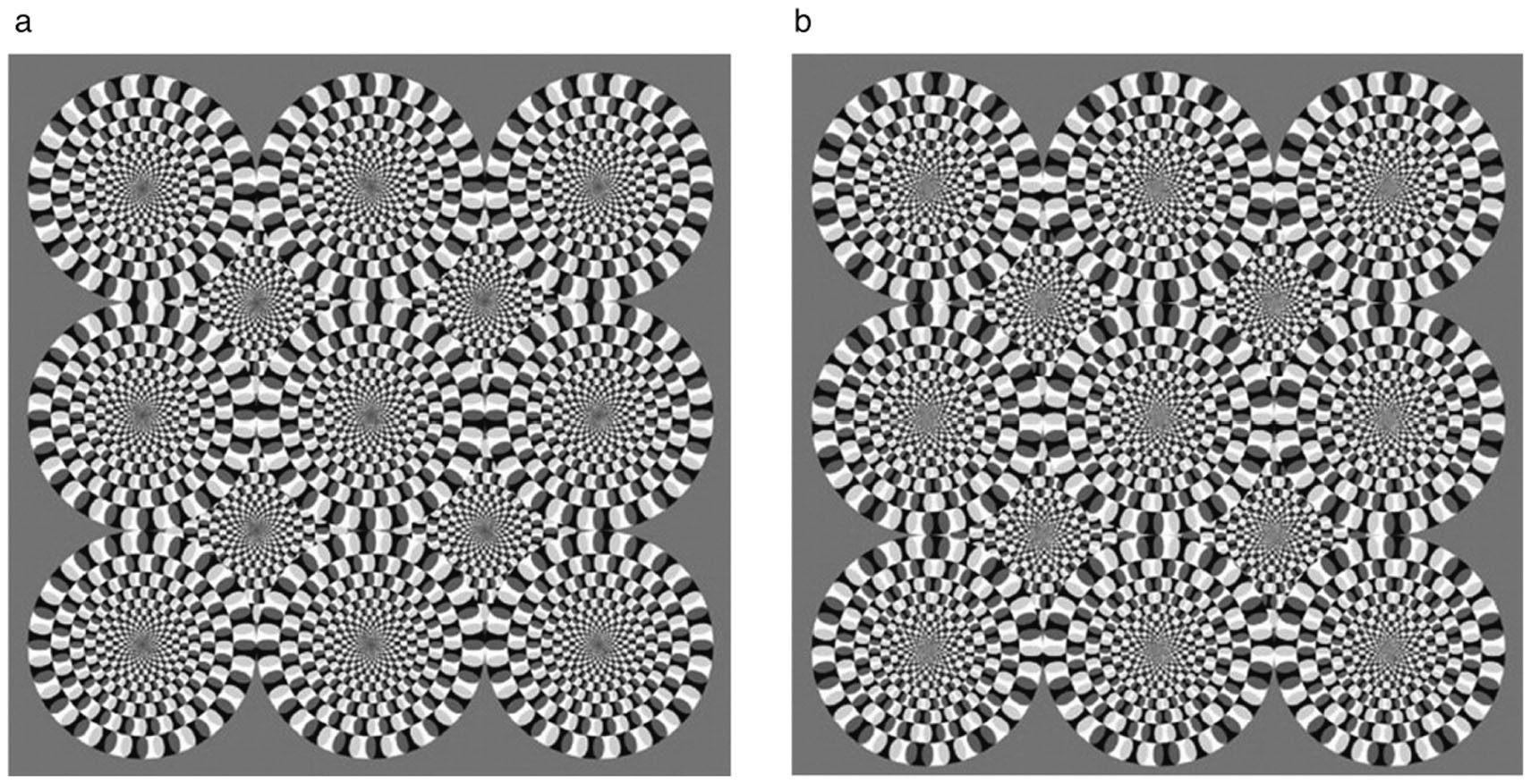 The Rotating-Tilted-Lines Illusion