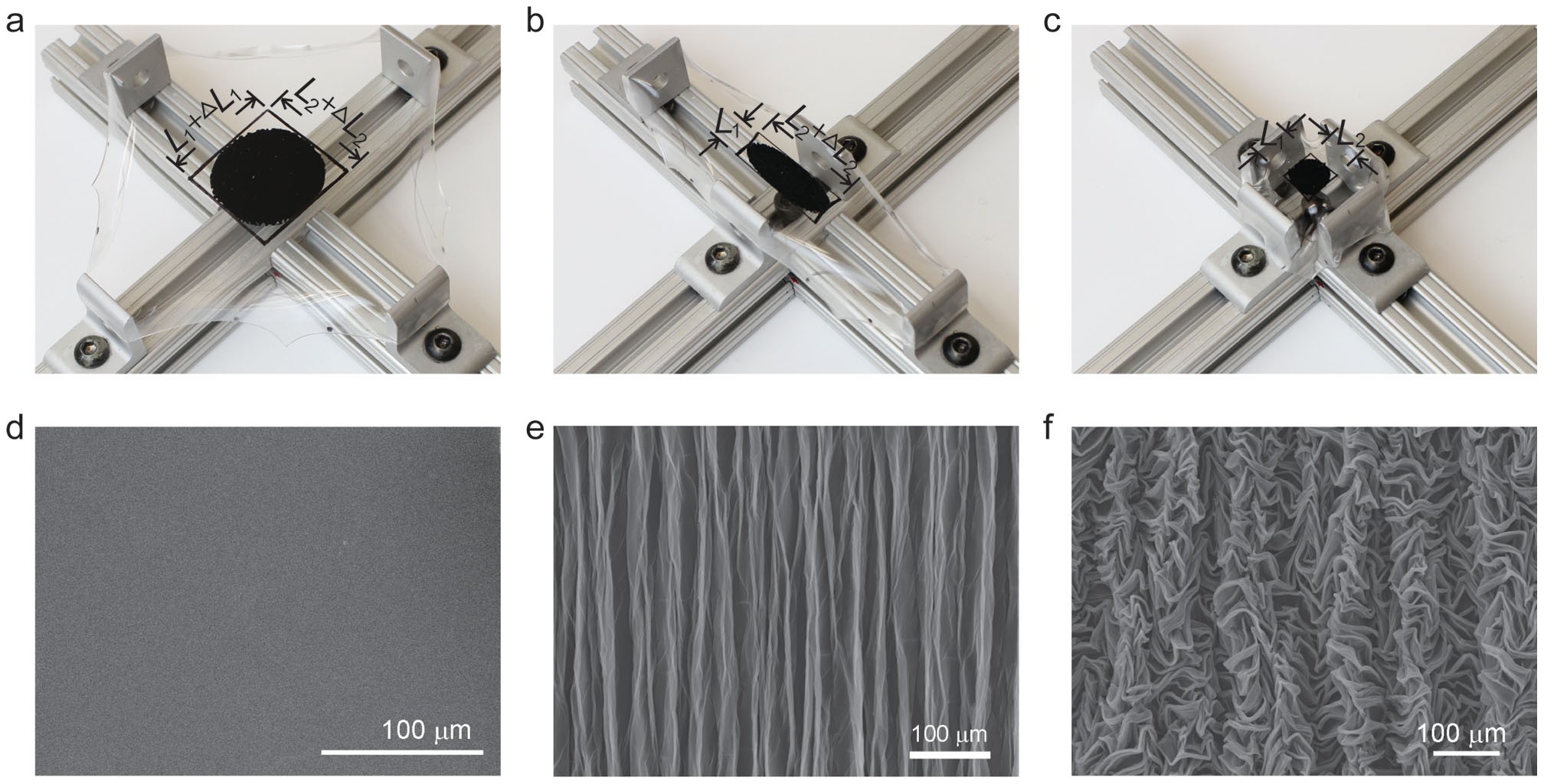 Stretchable and High-Performance Supercapacitors with Crumpled