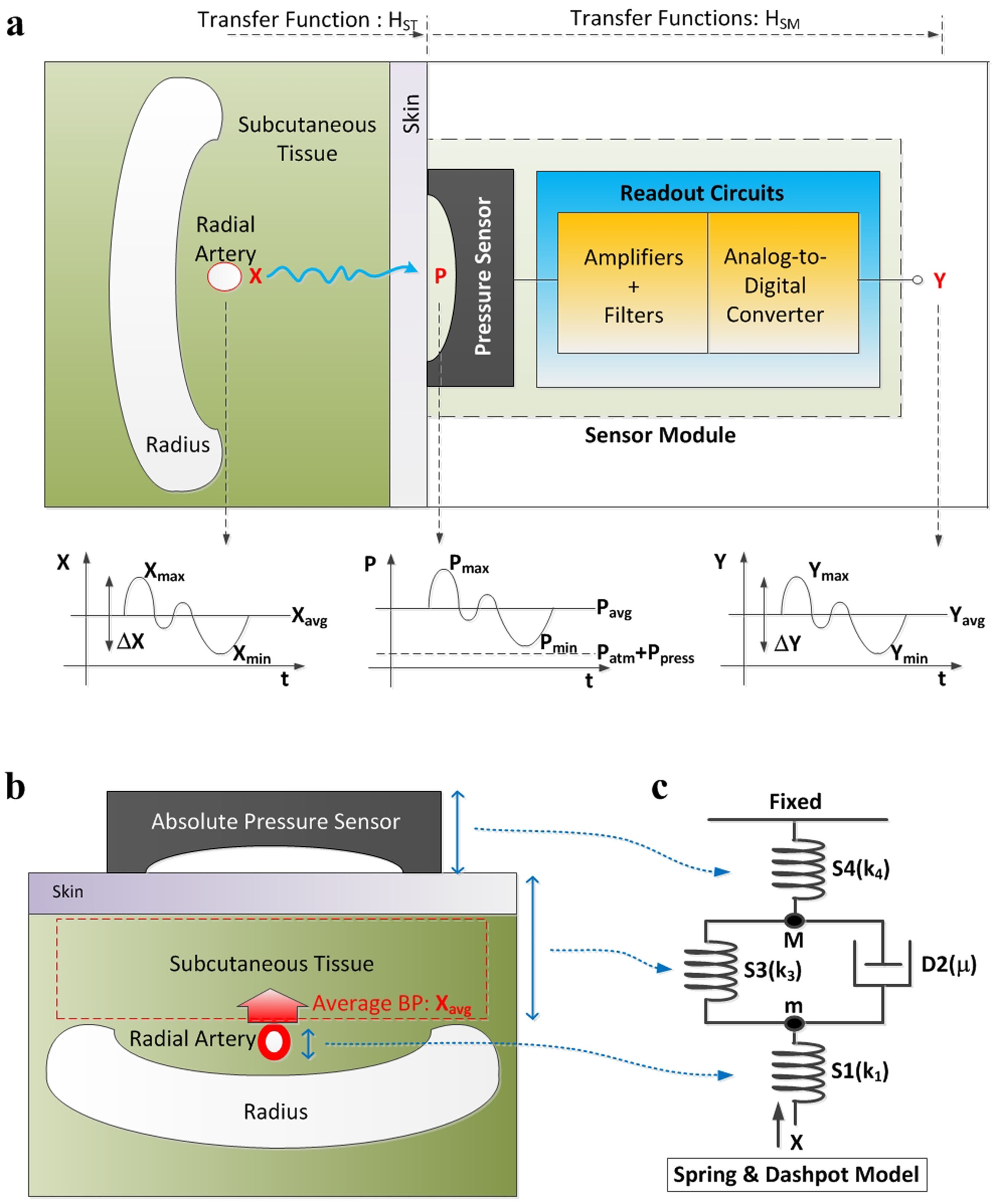 Cuffless Blood Pressure Monitors: Principles, Standards and