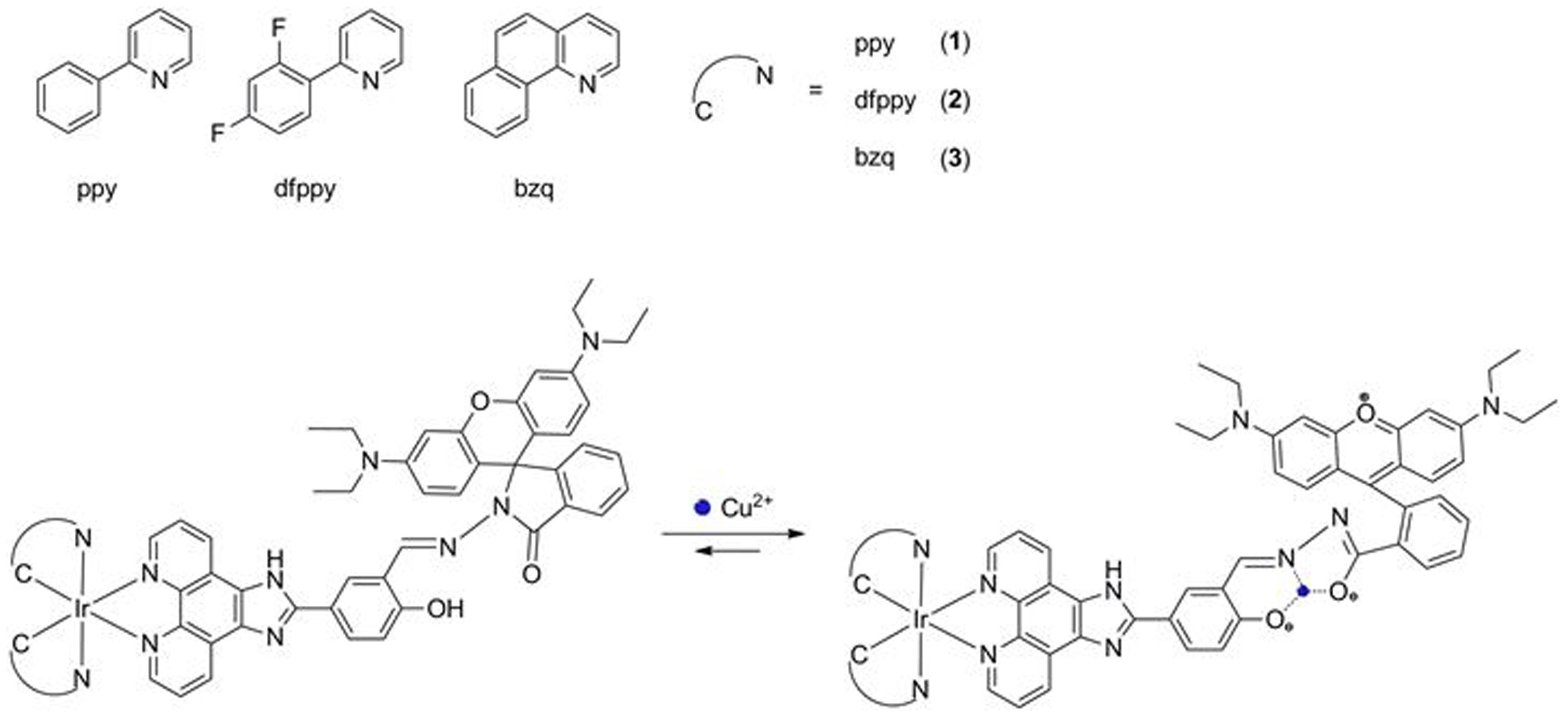 Chemosensors, Free Full-Text