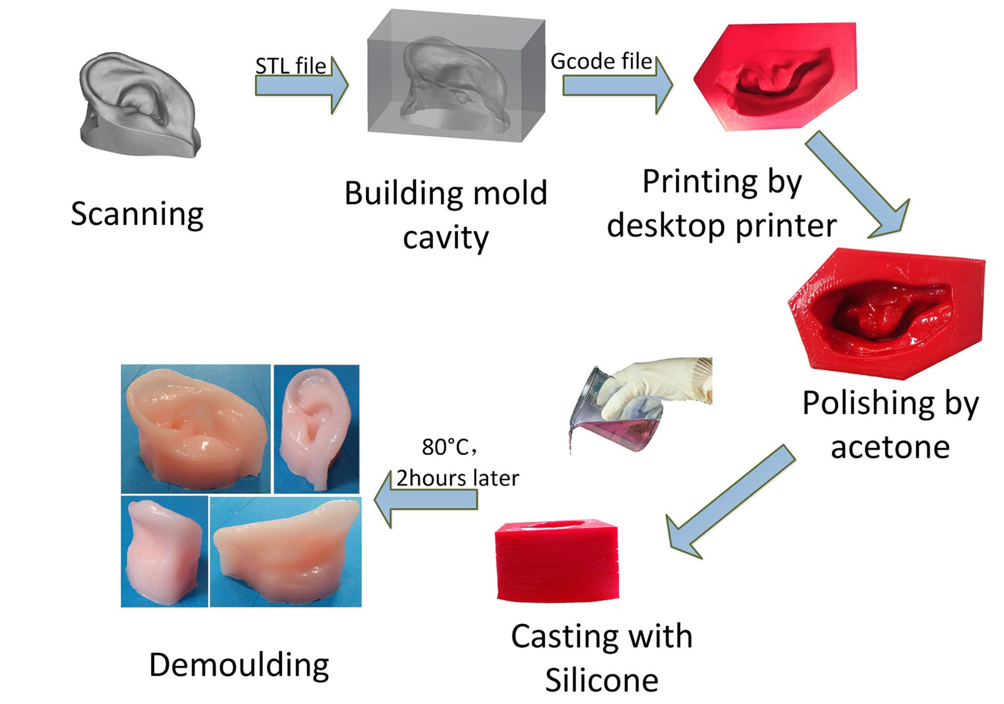 Altijd Koningin En Fabrication of low cost soft tissue prostheses with the desktop 3D printer  | Scientific Reports