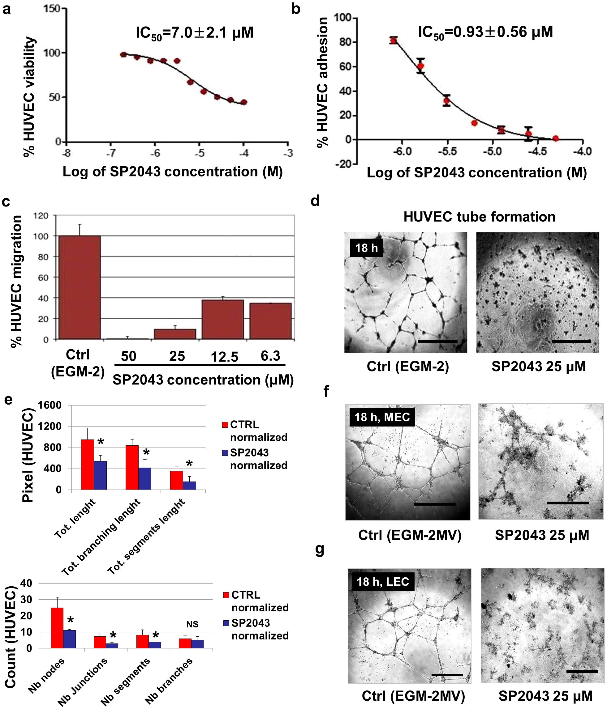 Inhibition Of Breast Cancer Growth And Metastasis By A