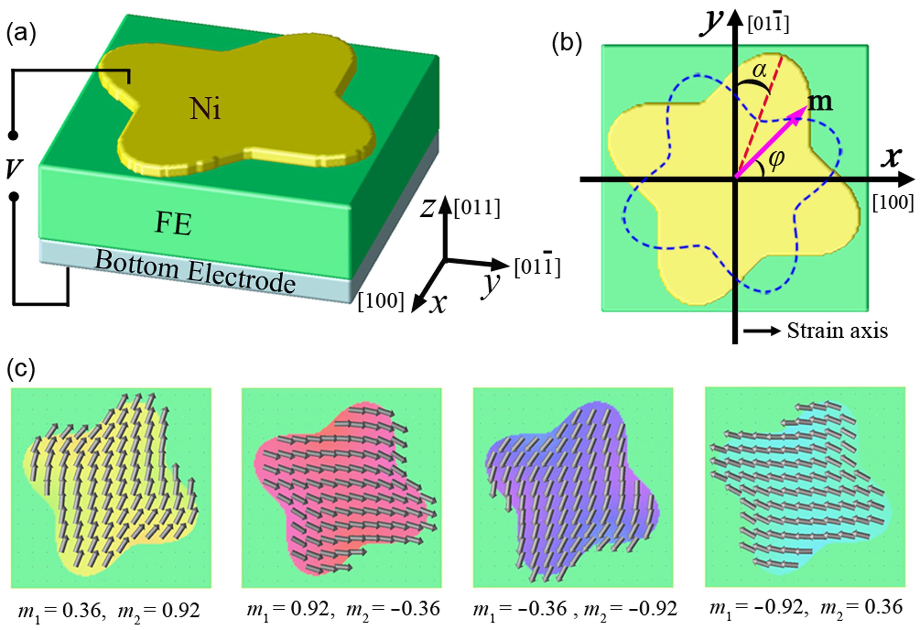 Full 180° Magnetization Reversal with Electric Fields | Scientific Reports