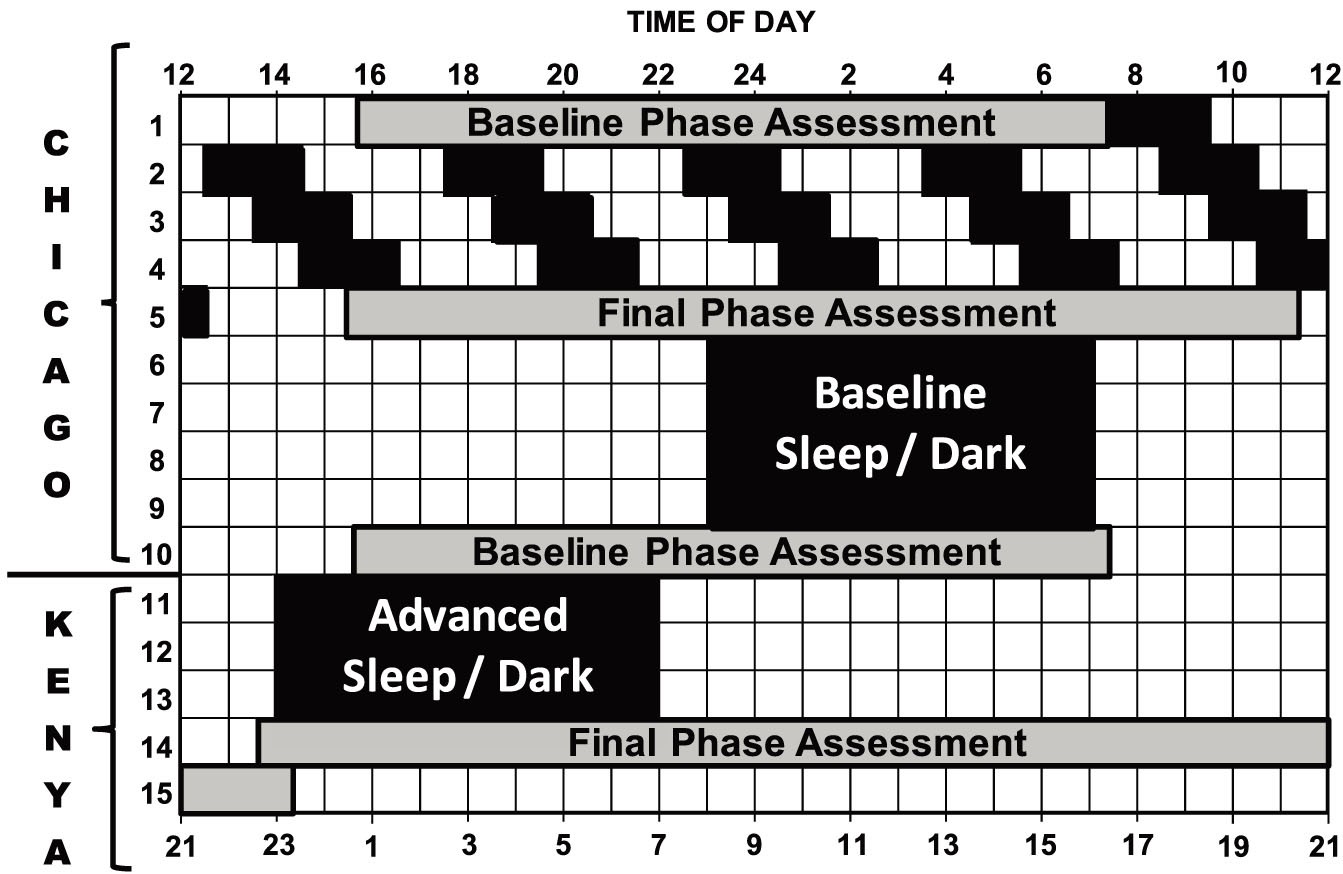 Circadian rhythm phase shifts and endogenous free-running circadian period  differ between African-Americans and European-Americans | Scientific Reports