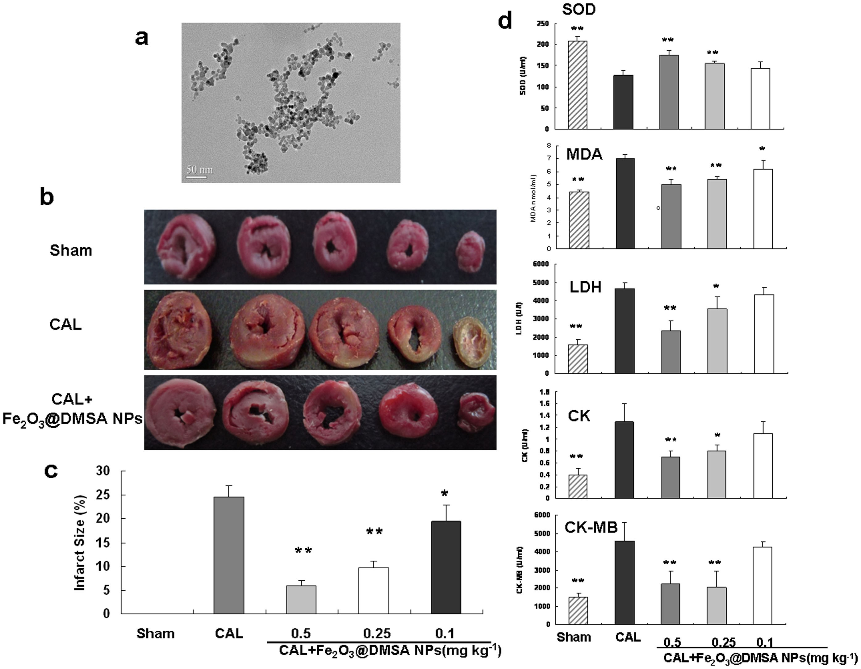 Cardioprotective Activity Of Iron Oxide Nanoparticles | Scientific.