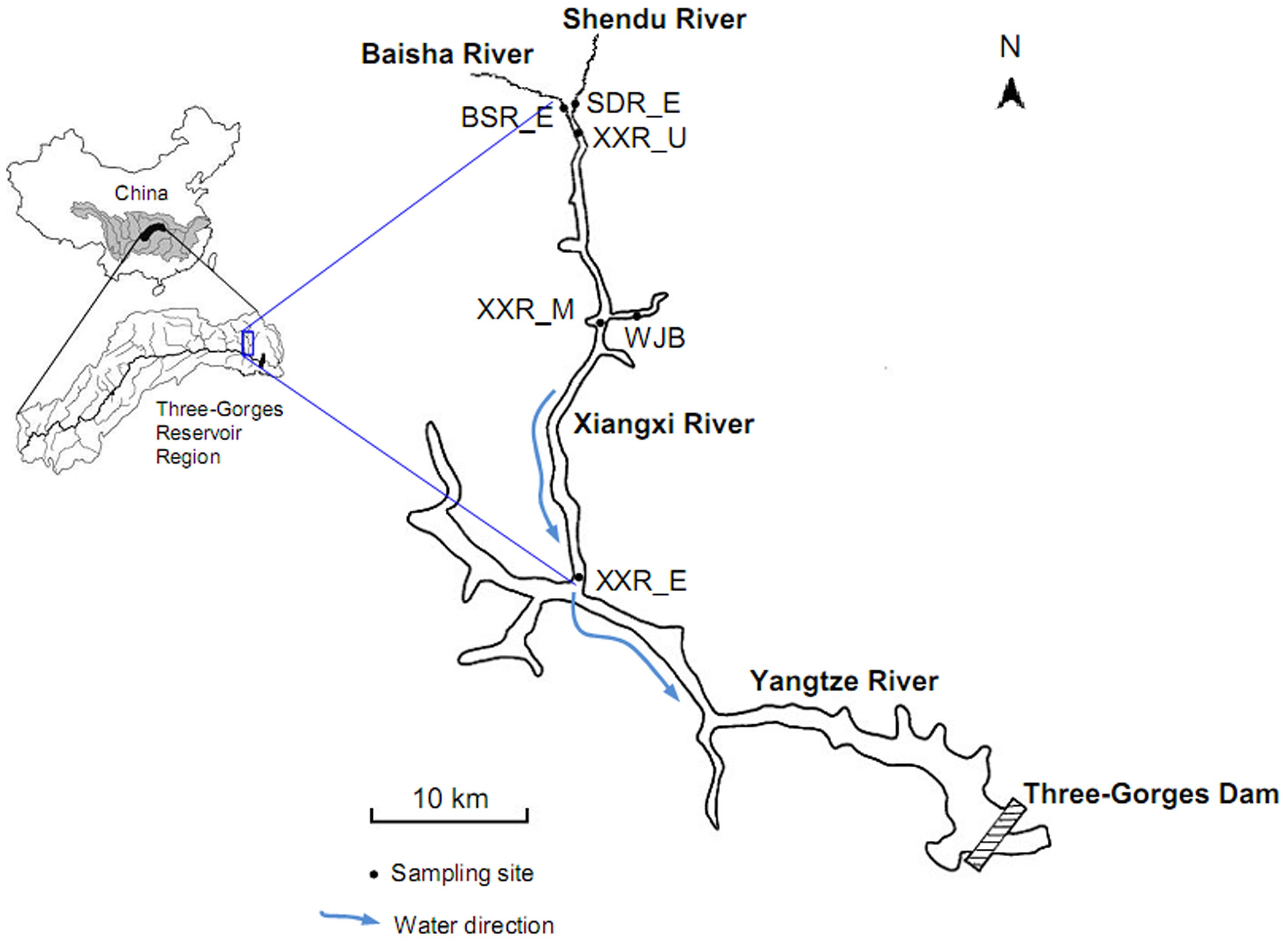 Impacts of the Three Gorges Dam on microbial structure and potential  function | Scientific Reports
