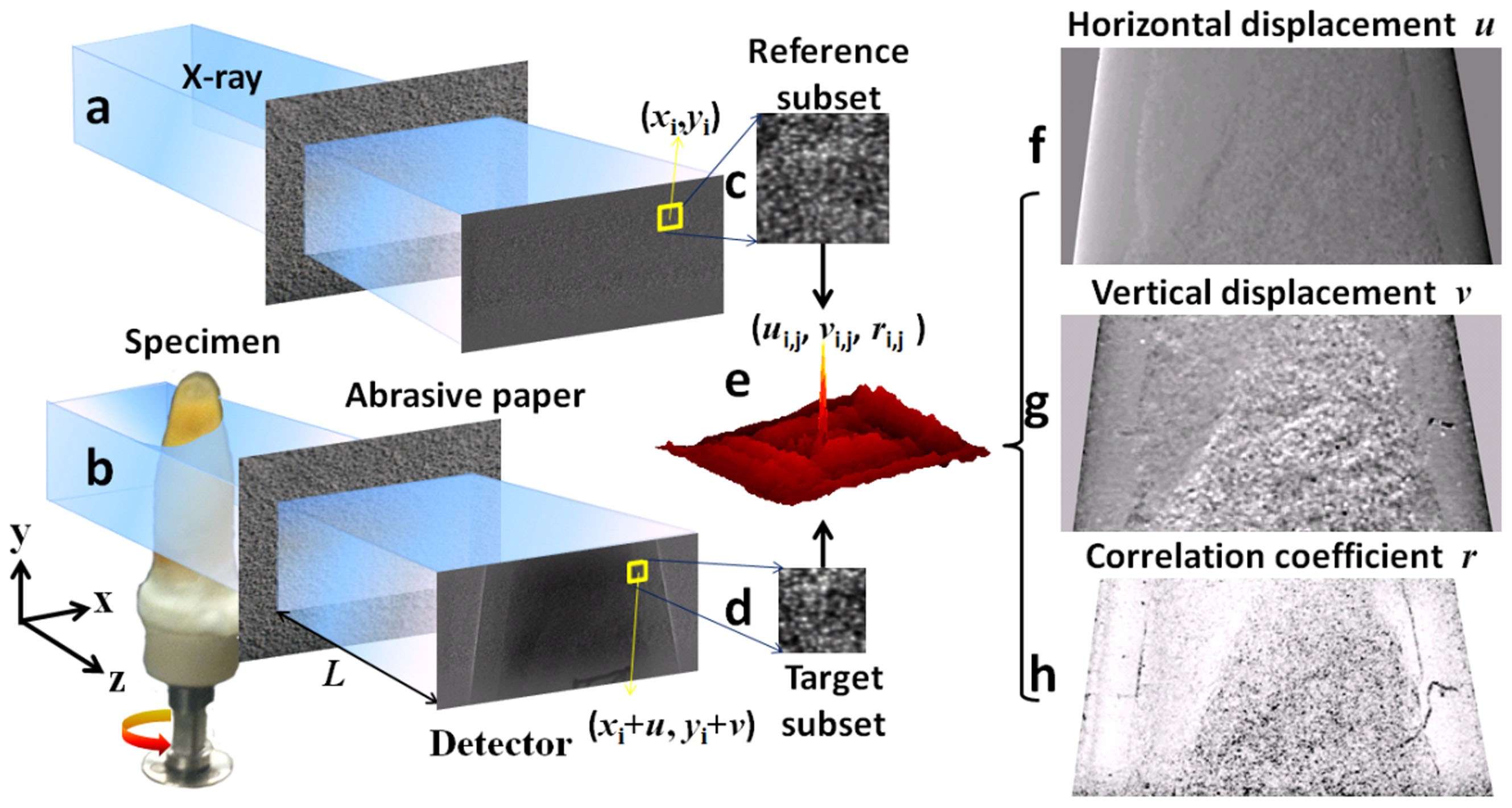 X Ray Phase Contrast Tomography By Tracking Near Field Speckle