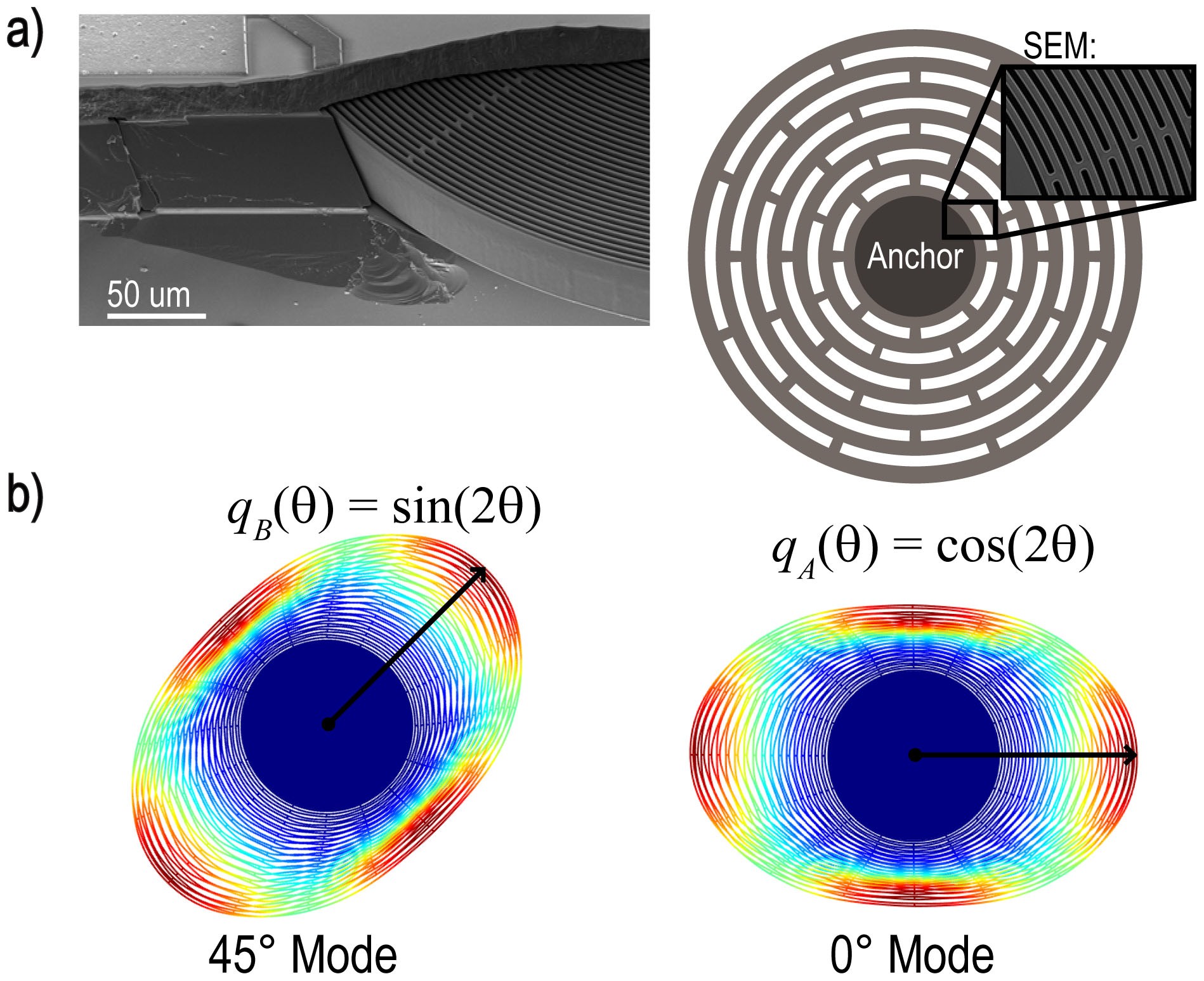 Modeling the Dynamics of a Gyroscope