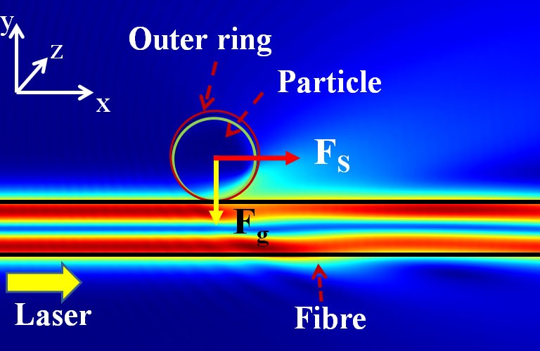 Higher order microfibre modes for dielectric particle trapping and  propulsion | Scientific Reports
