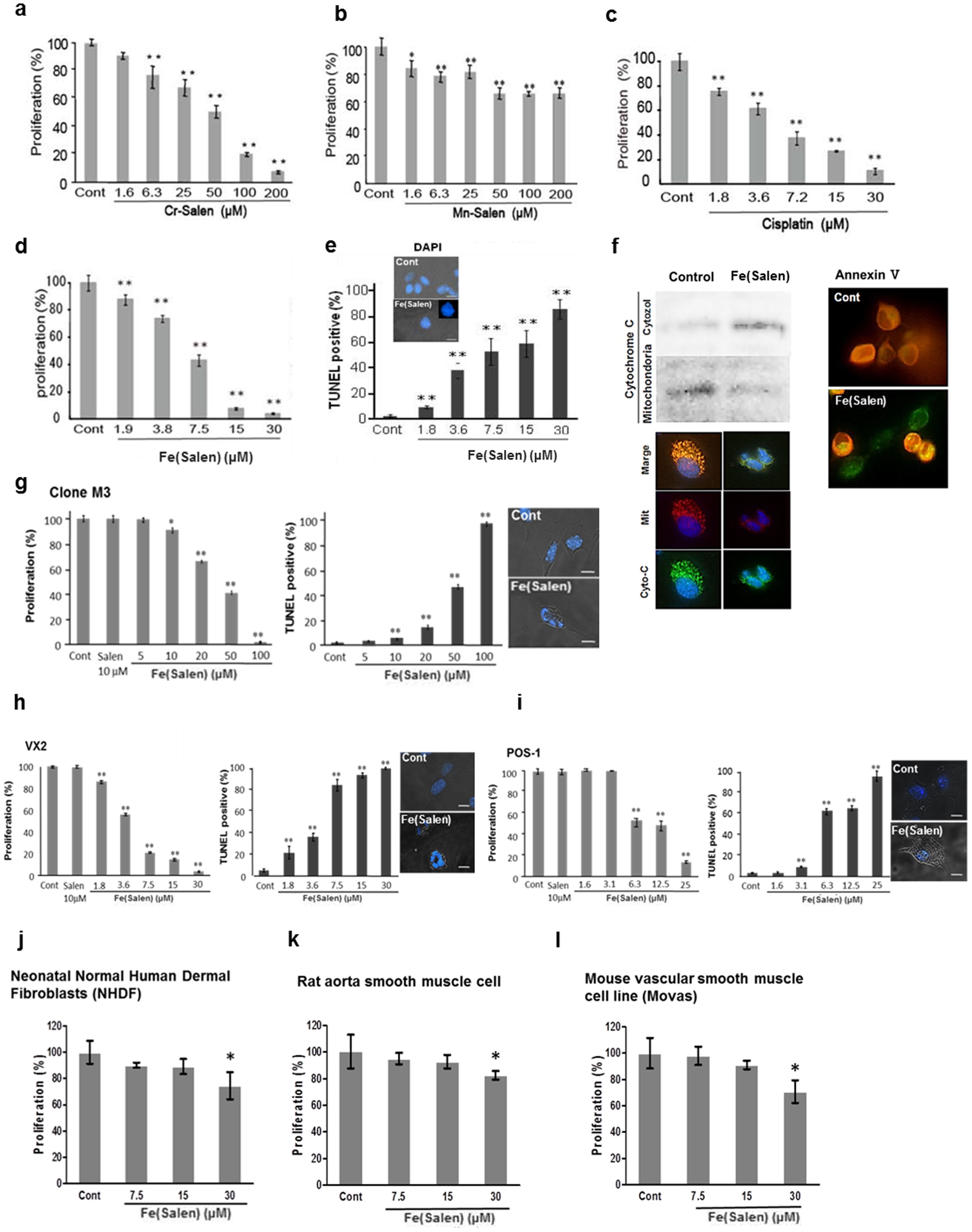 A magnetic anti-cancer compound for magnet-guided delivery and ...