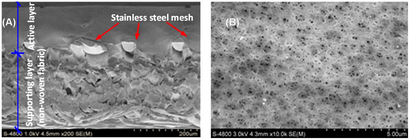 Scanning electron microscopy (SEM) images of stainless steel cloth