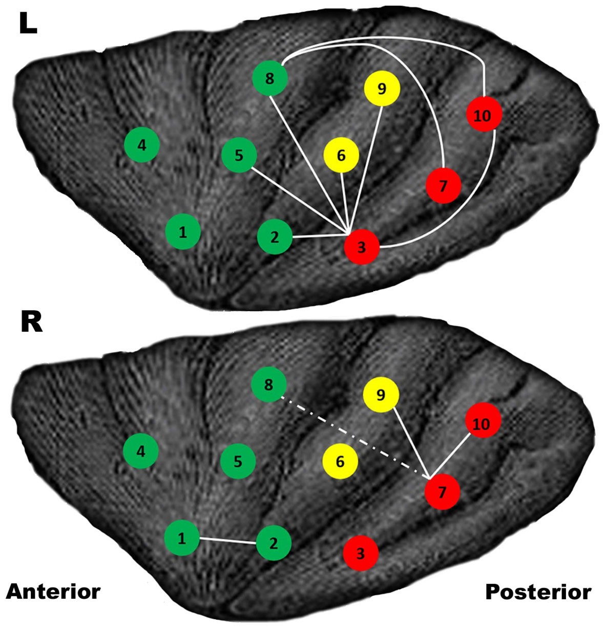 PDF) Neurology, psychiatry and the chess game: a narrative review