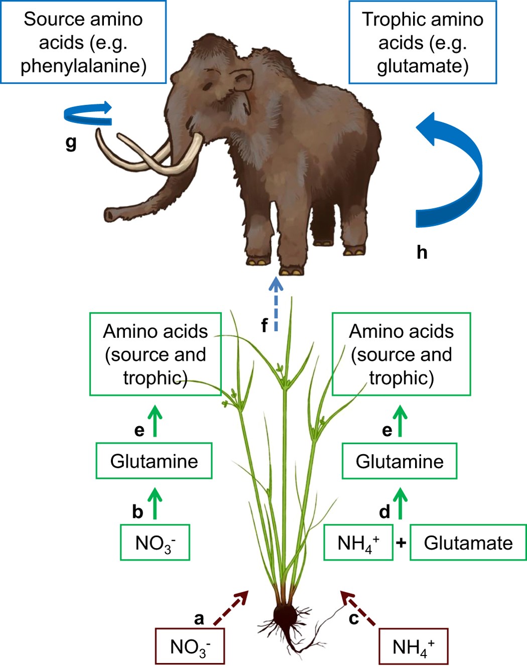Offered my perm mammoth as a sort of social experiment in the