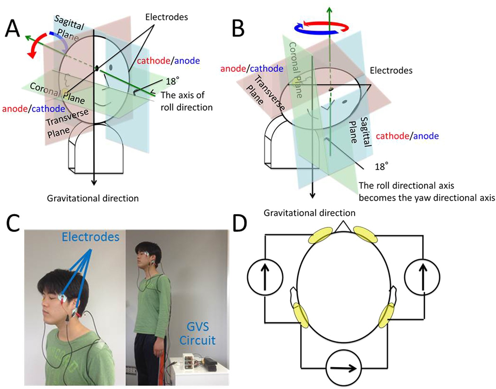 Electrical Stimulation - Balance in Motion