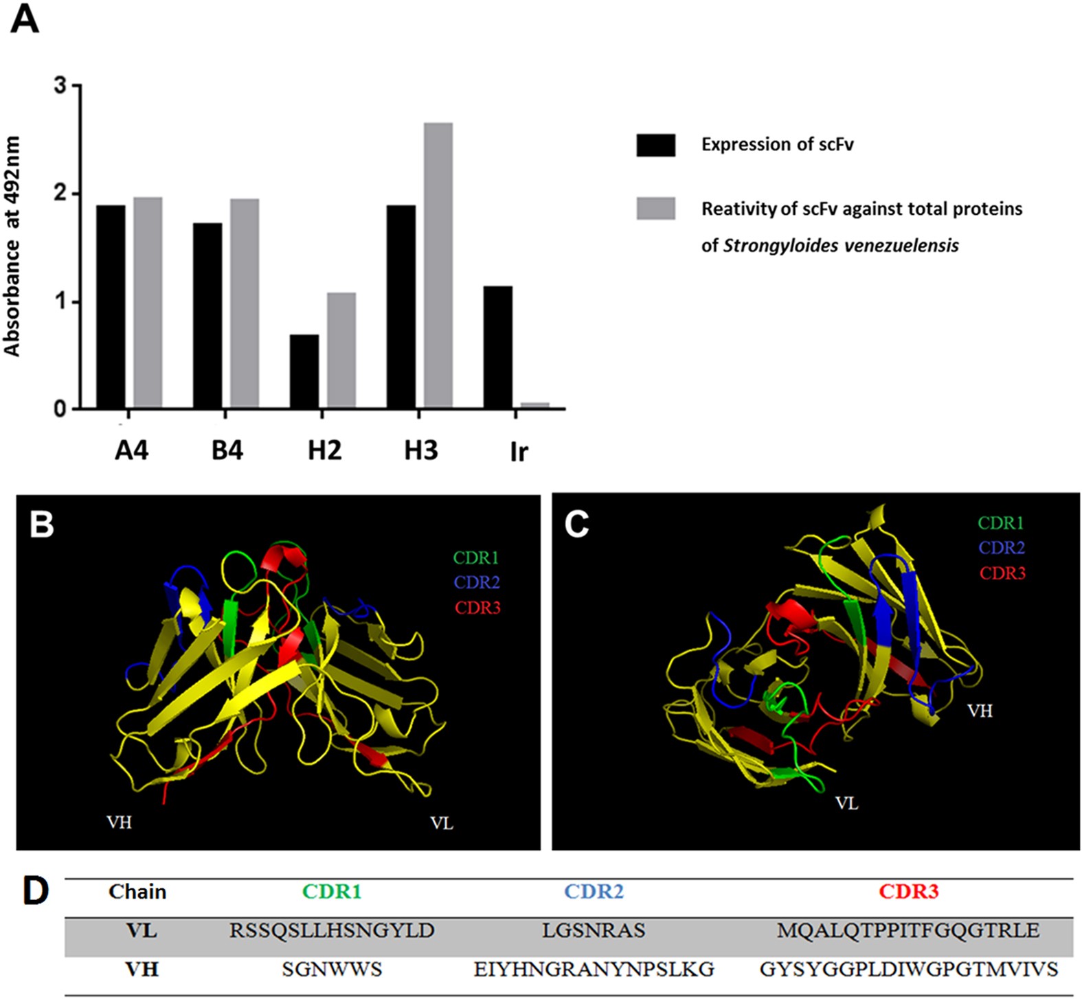 Structural and functional characterization of a novel scFv anti-HSP60 of  Strongyloides sp. | Scientific Reports