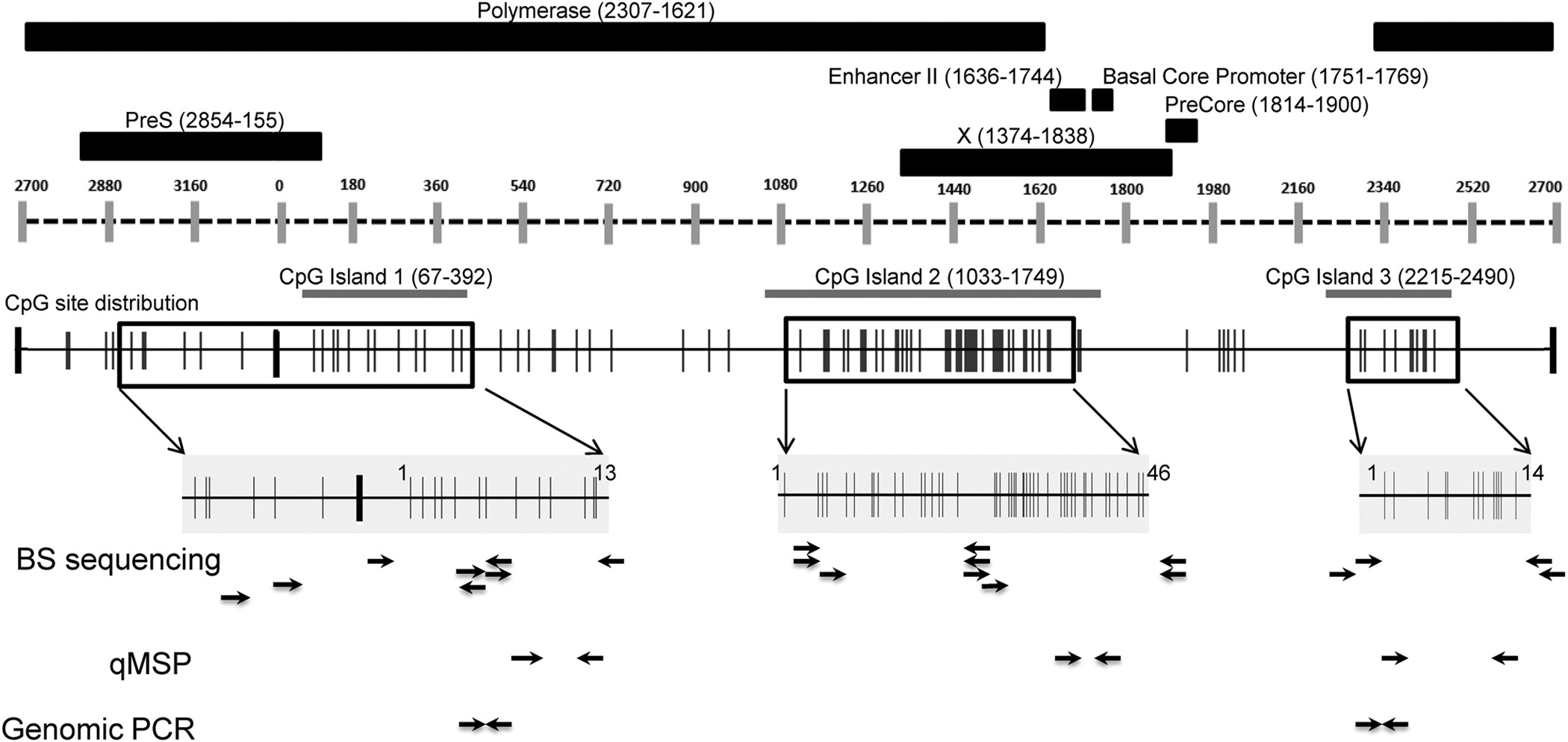 glutathione for hepa b Comprehensive DNA methylation analysis of hepatitis B virus genome in infected liver tissues