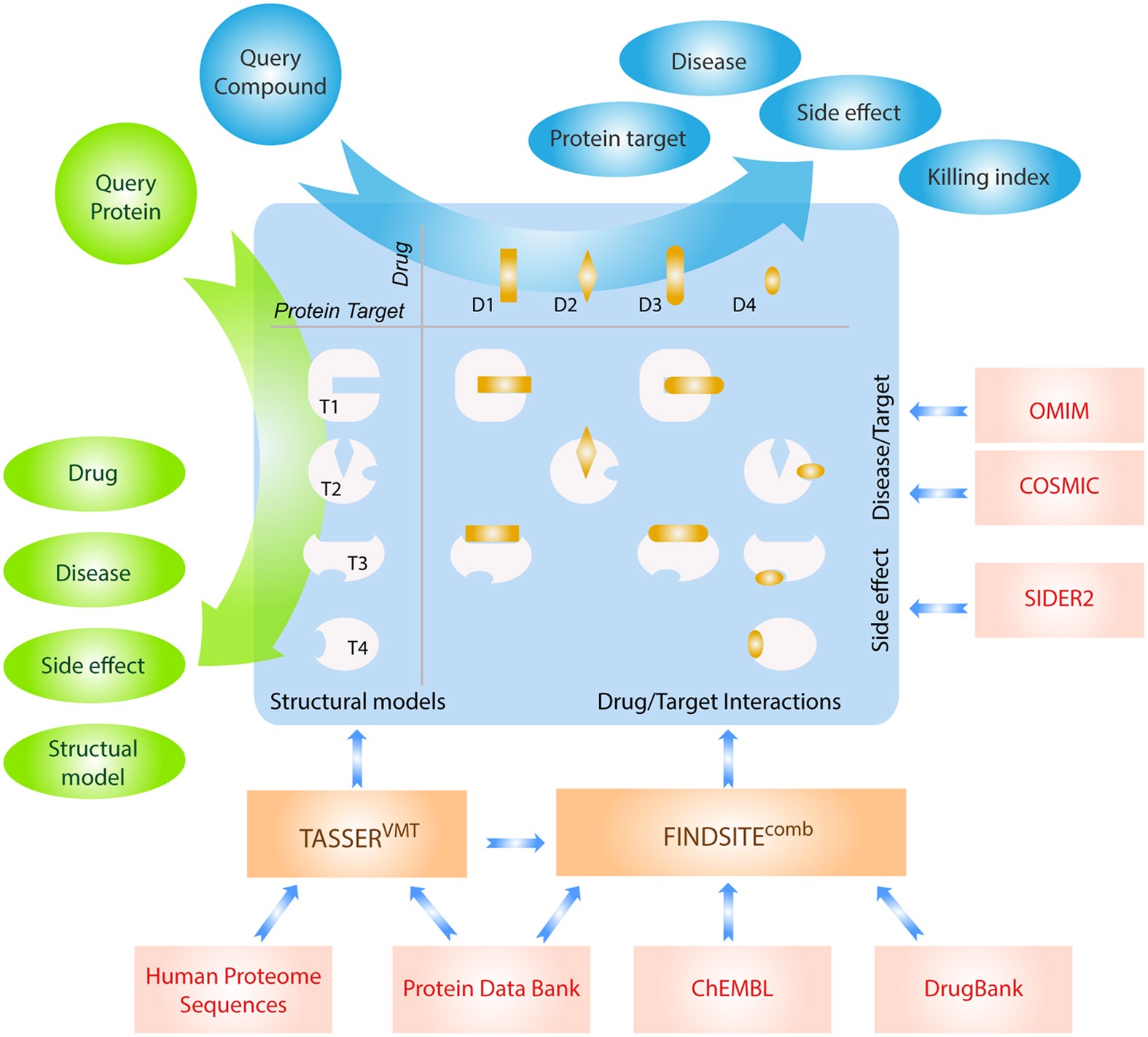 Comprehensive prediction of drug-protein interactions and side effects for  the human proteome | Scientific Reports