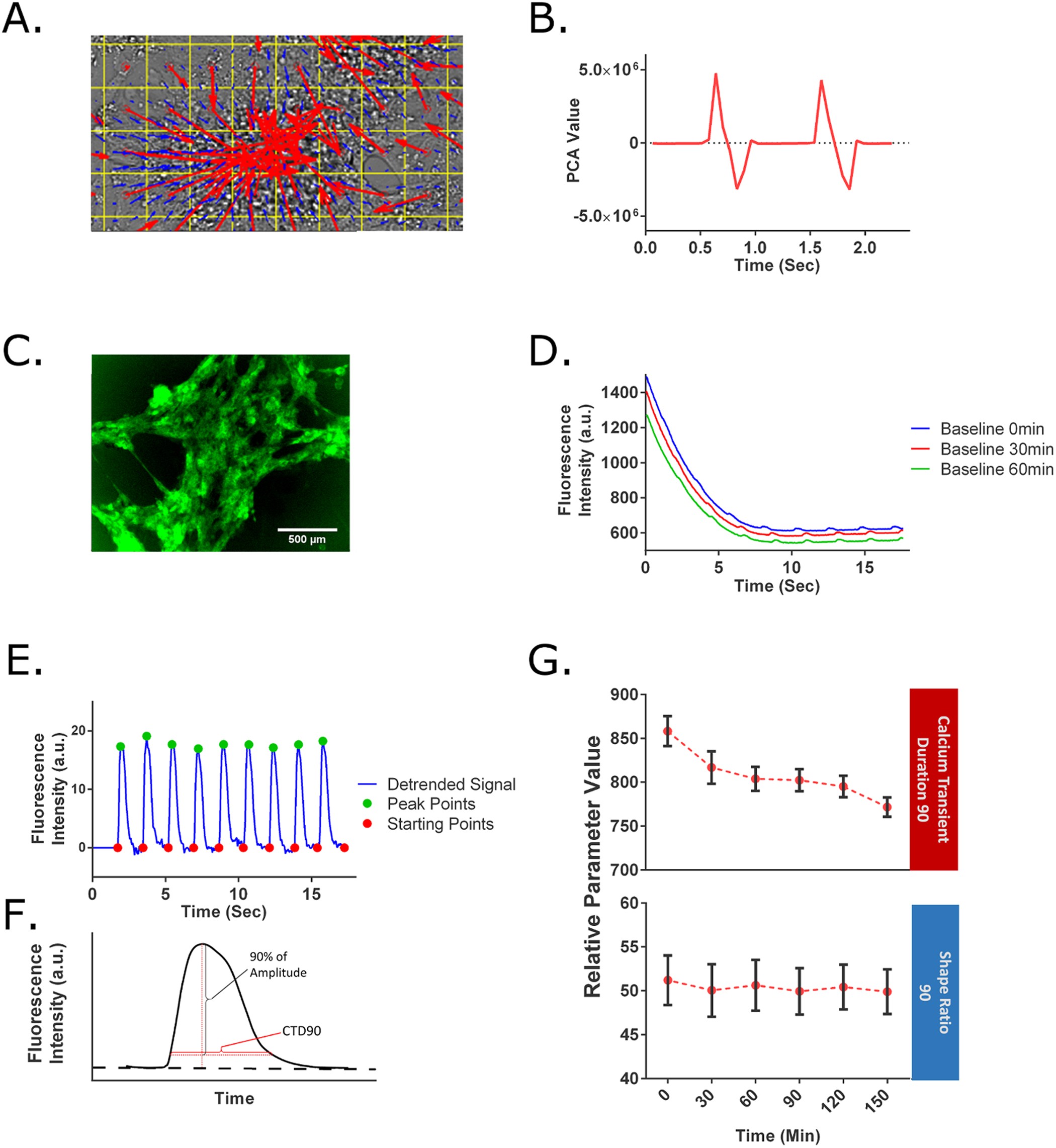 Machine learning plus optical flow: a simple and sensitive method to detect  cardioactive drugs | Scientific Reports