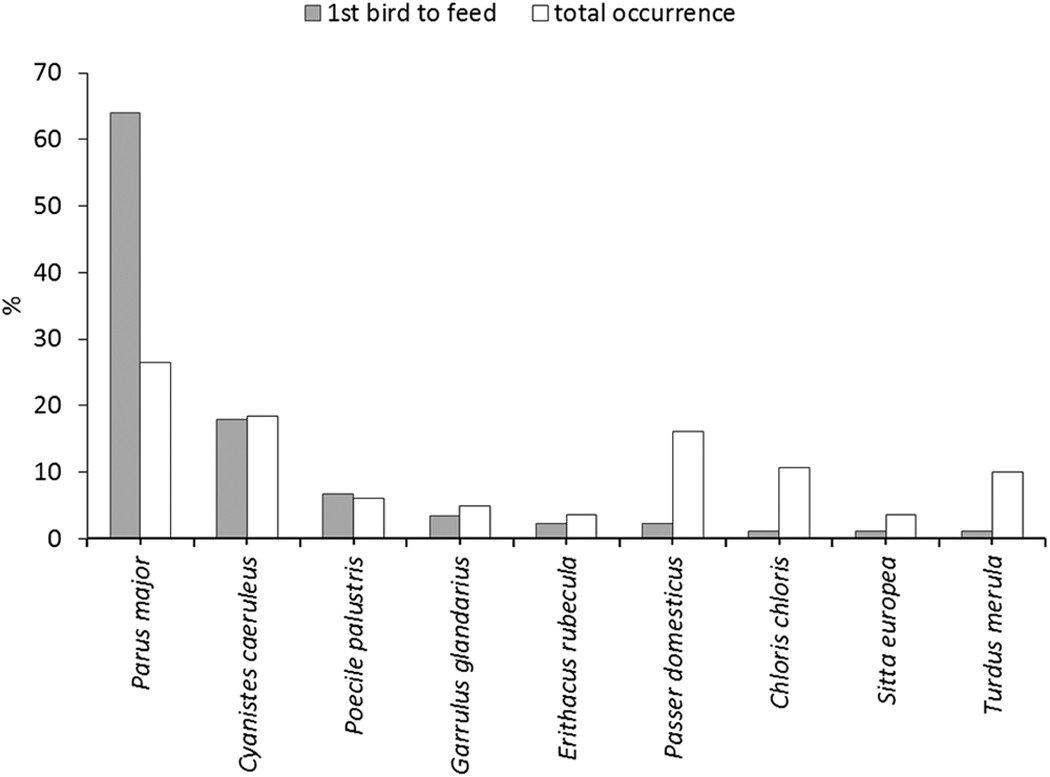 Who Started First Bird Species Visiting Novel Birdfeeders