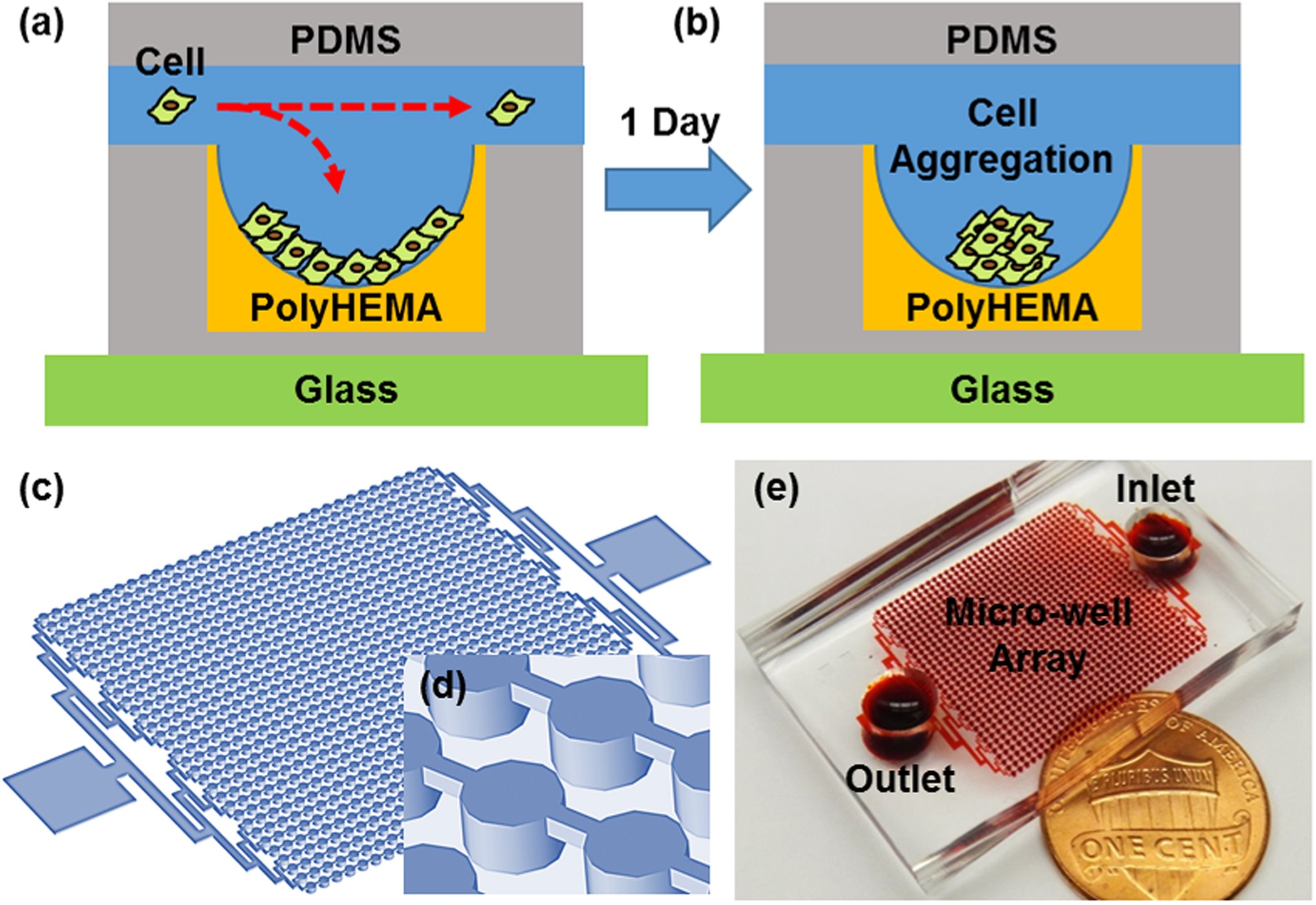High-Throughput Cancer Cell Sphere Formation for Characterizing the Efficacy of Photo Dynamic Therapy in 3D Cell Cultures | Scientific Reports High-Throughput Cancer Cell Sphere Formation for Characterizing the Efficacy of Photo Dynamic Therapy in 3D Cell Cultures | Scientific Reports
