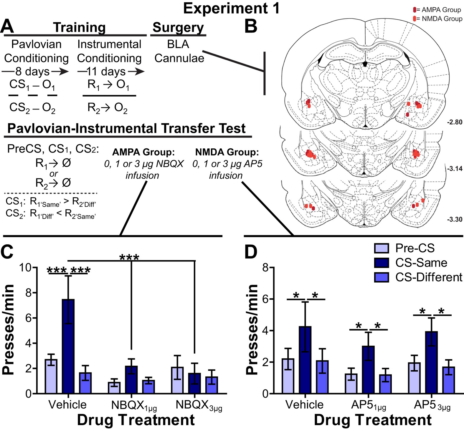 Basolateral amygdala rapid glutamate release encodes an outcome-specific  representation vital for reward-predictive cues to selectively invigorate  reward-seeking actions | Scientific Reports