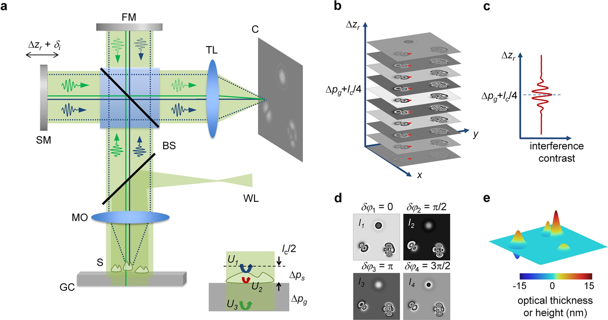 Optical microscope images, (a) 0h, (b) 16h, (c) 26h, (d) 38h and (e) 48h