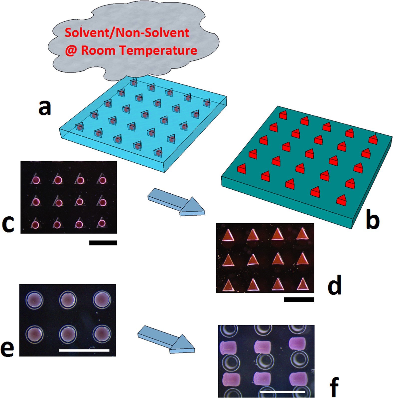 Clogging of soft particles in 2D hoppers – arXiv Vanity