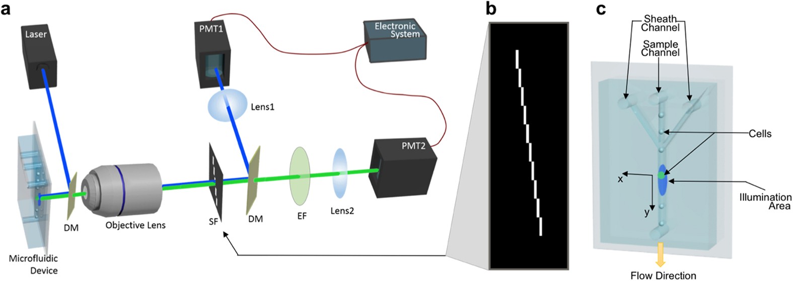 Imaging Cells in Flow Cytometer Using Spatial-Temporal Transformation