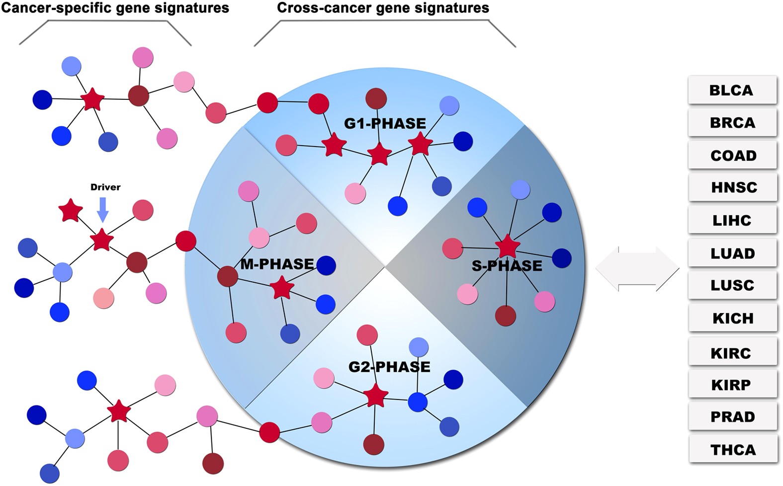 Identifying common transcriptome signatures of cancer by interpreting deep  learning models, Genome Biology