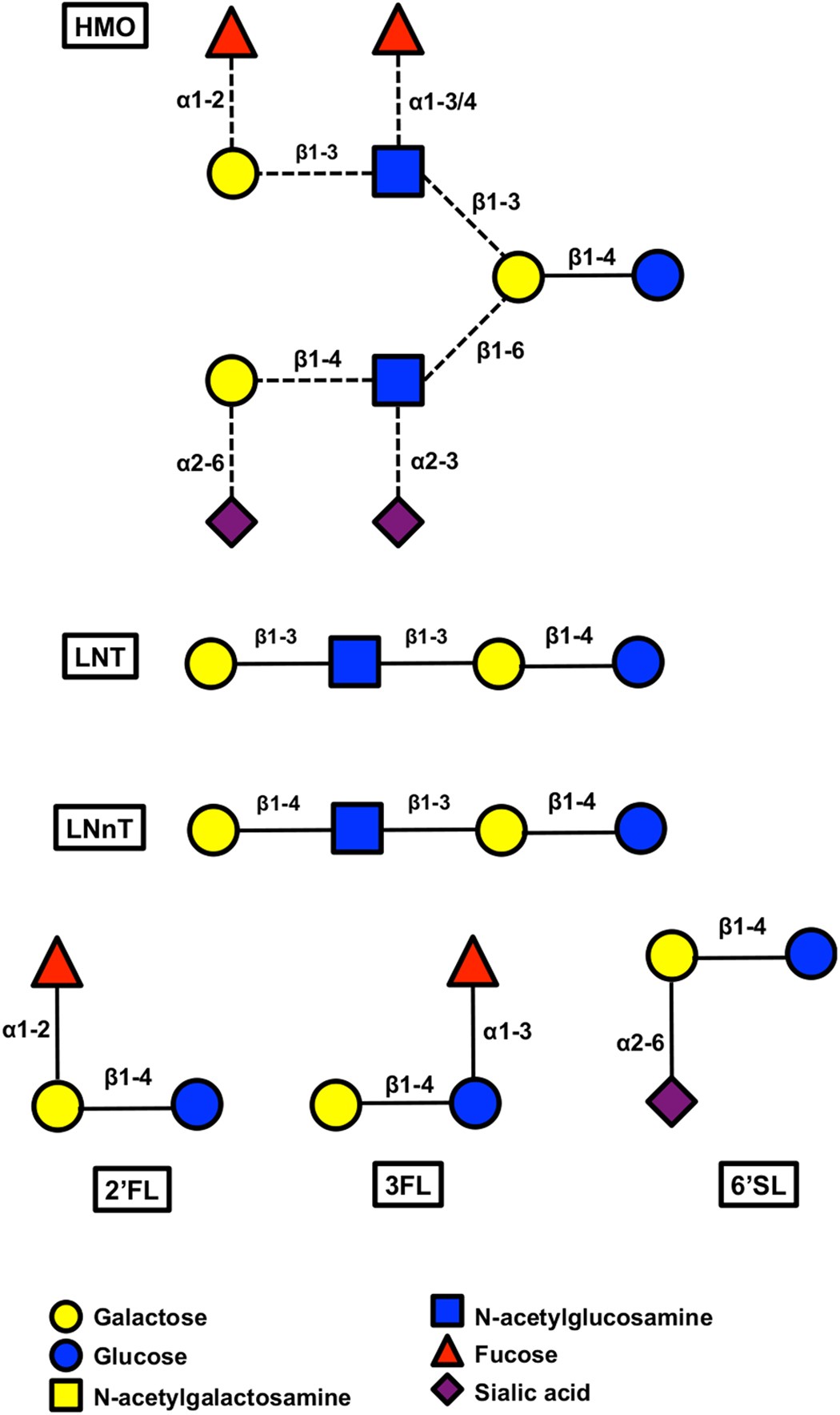 Characterization and Quantification of Oligosaccharides in Human Milk and  Infant Formula