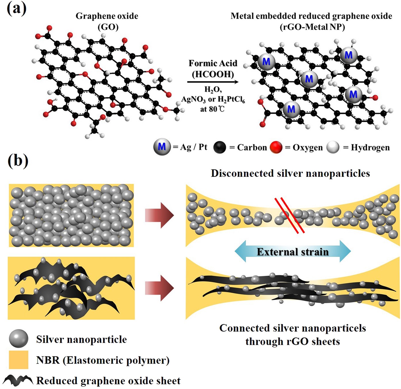 Highly Stretchable and Conductive Silver Nanoparticle Embedded Graphene  Flake Electrode Prepared by In situ Dual Reduction Reaction | Scientific  Reports