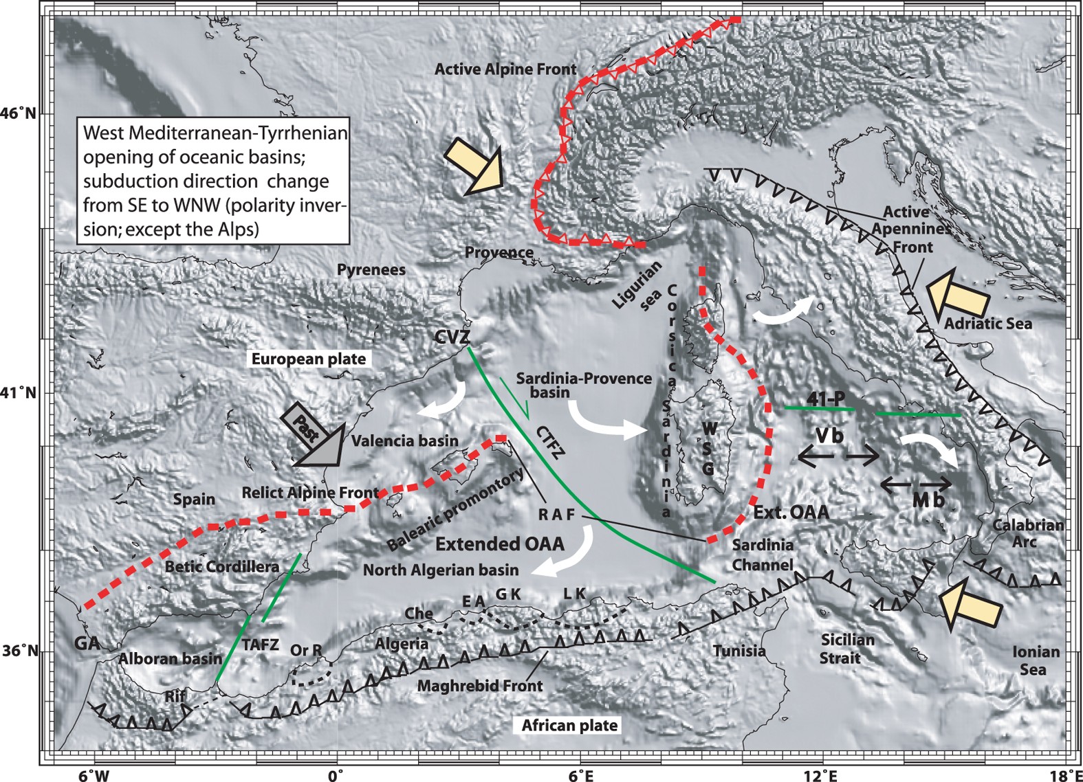 PDF) Late Miocene shortening of the Northern Apennines back-arc