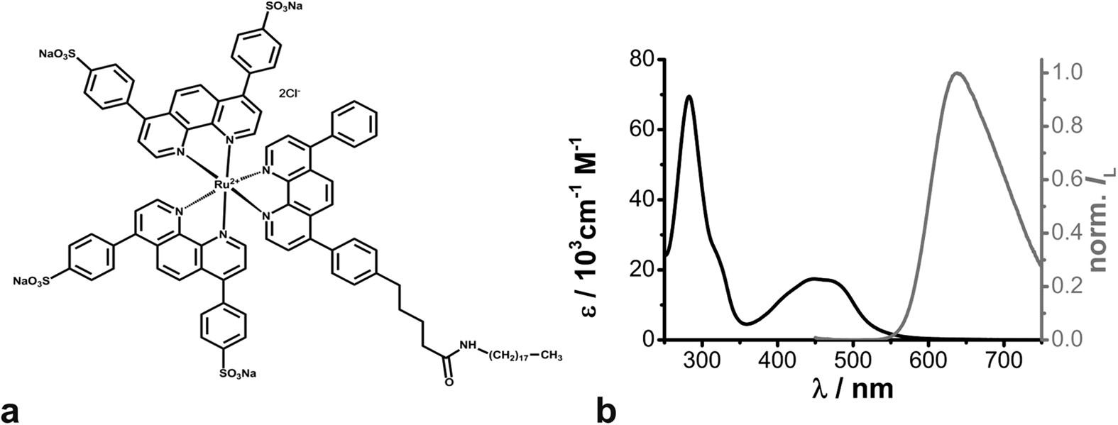 Simultaneous Fluorescence And Phosphorescence Lifetime