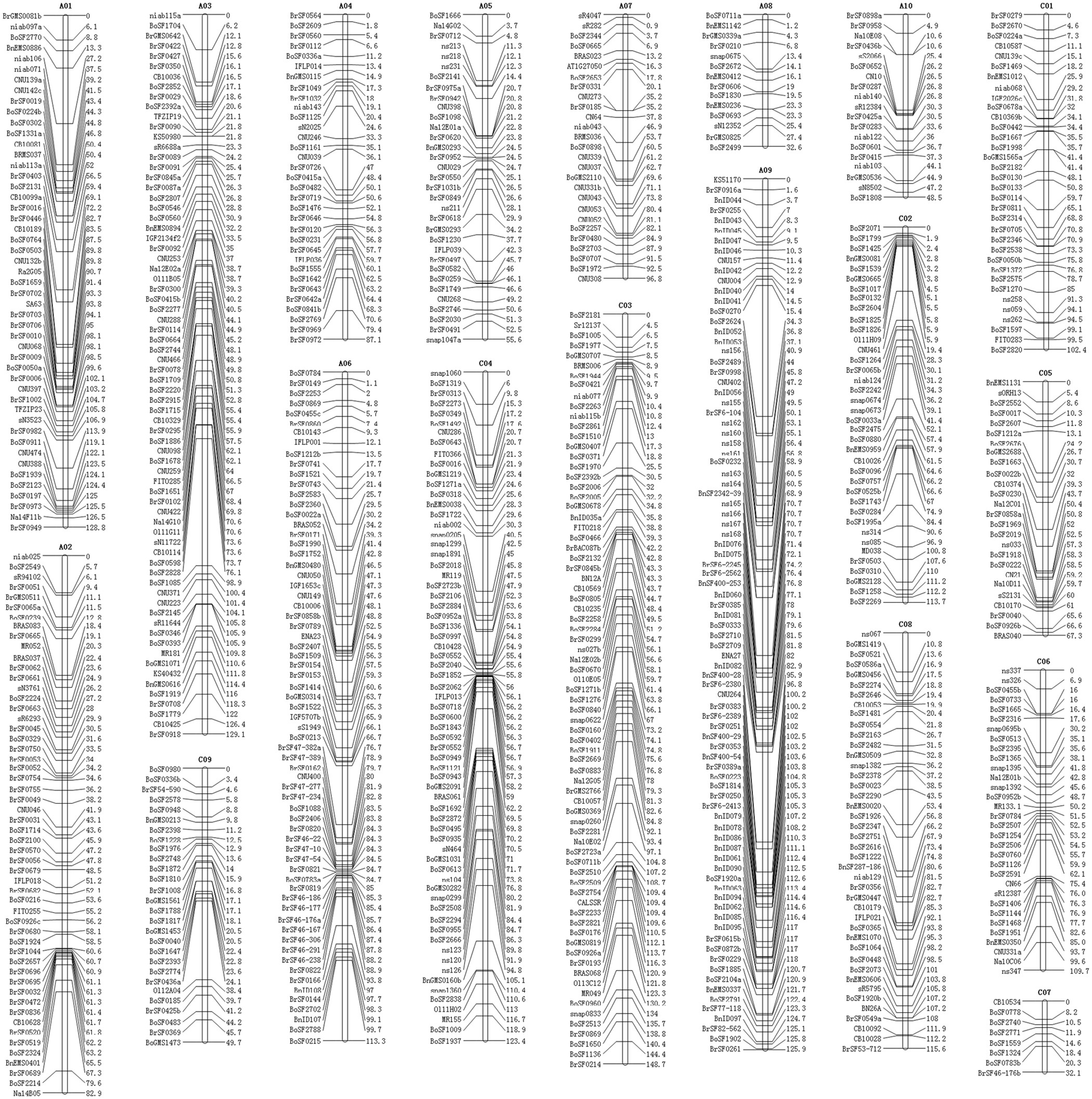 Linkage and Mapping in Diploids - Primer of Genetic Analysis: A