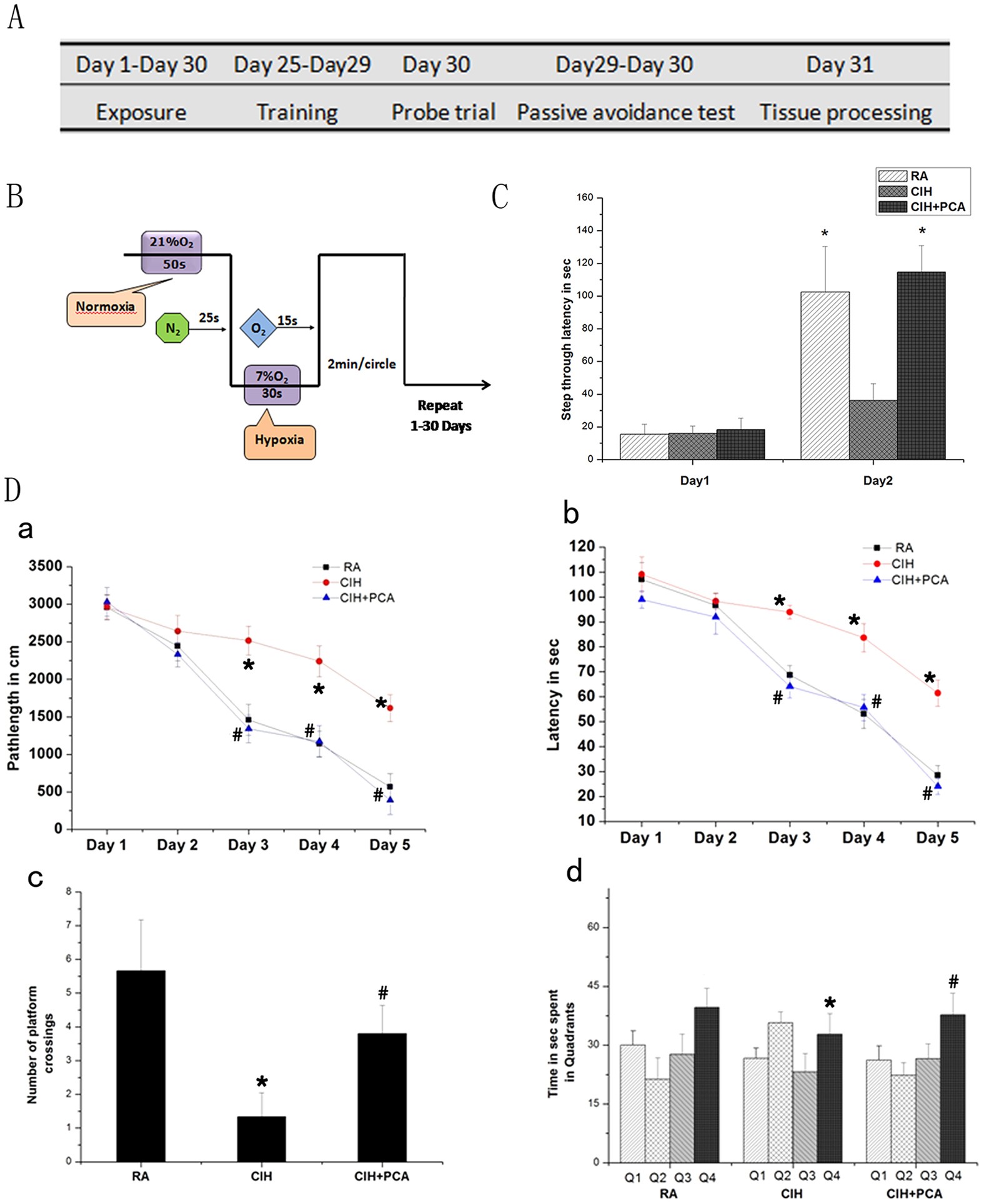 Protocatechuic Acid Ameliorates Neurocognitive Functions
