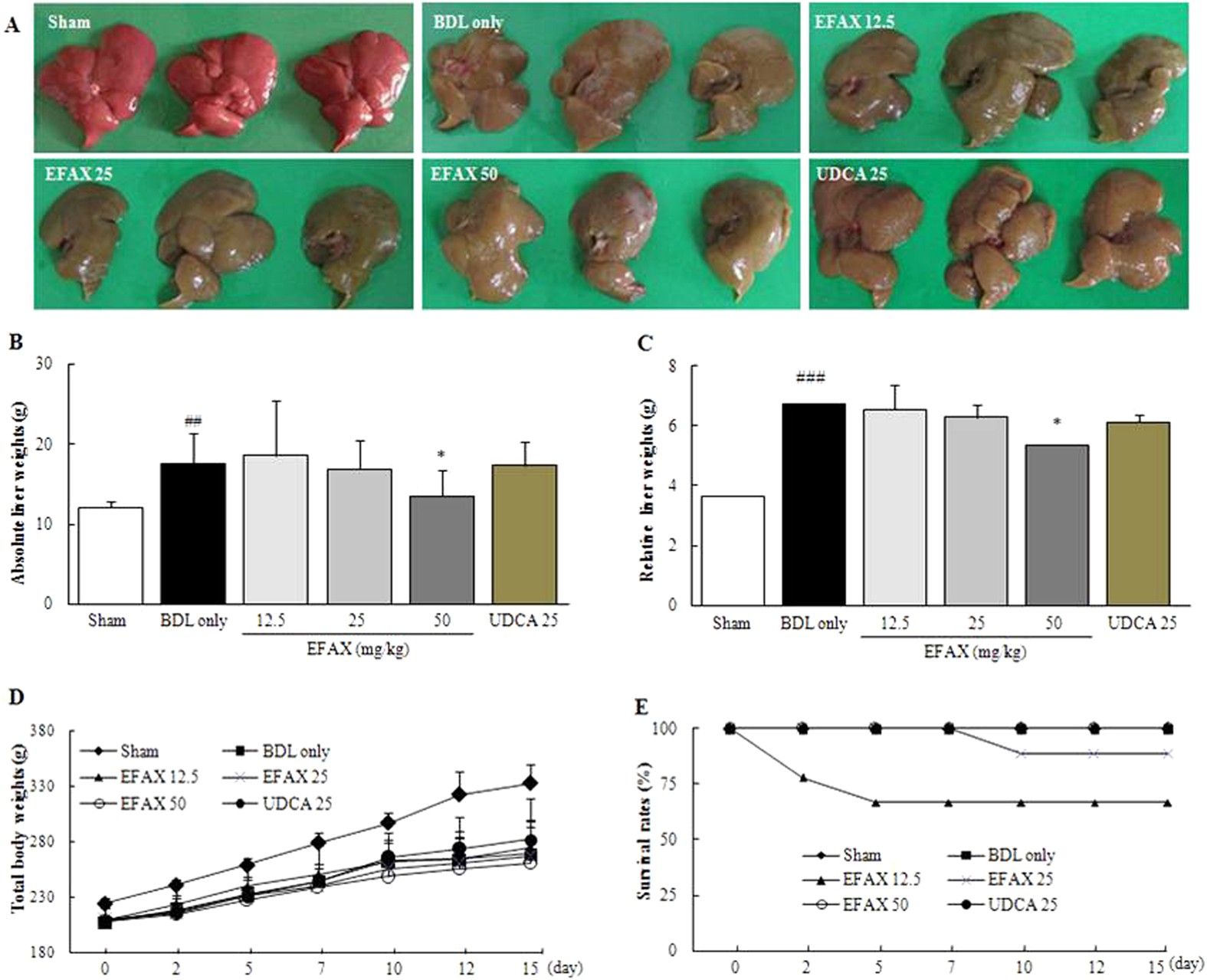 Ethyl Acetate Fraction Of Amomum Xanthioides Improves Bile Duct