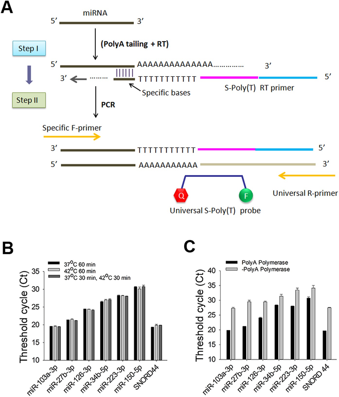 MMLV High Performance Reverse Transcriptase Kit