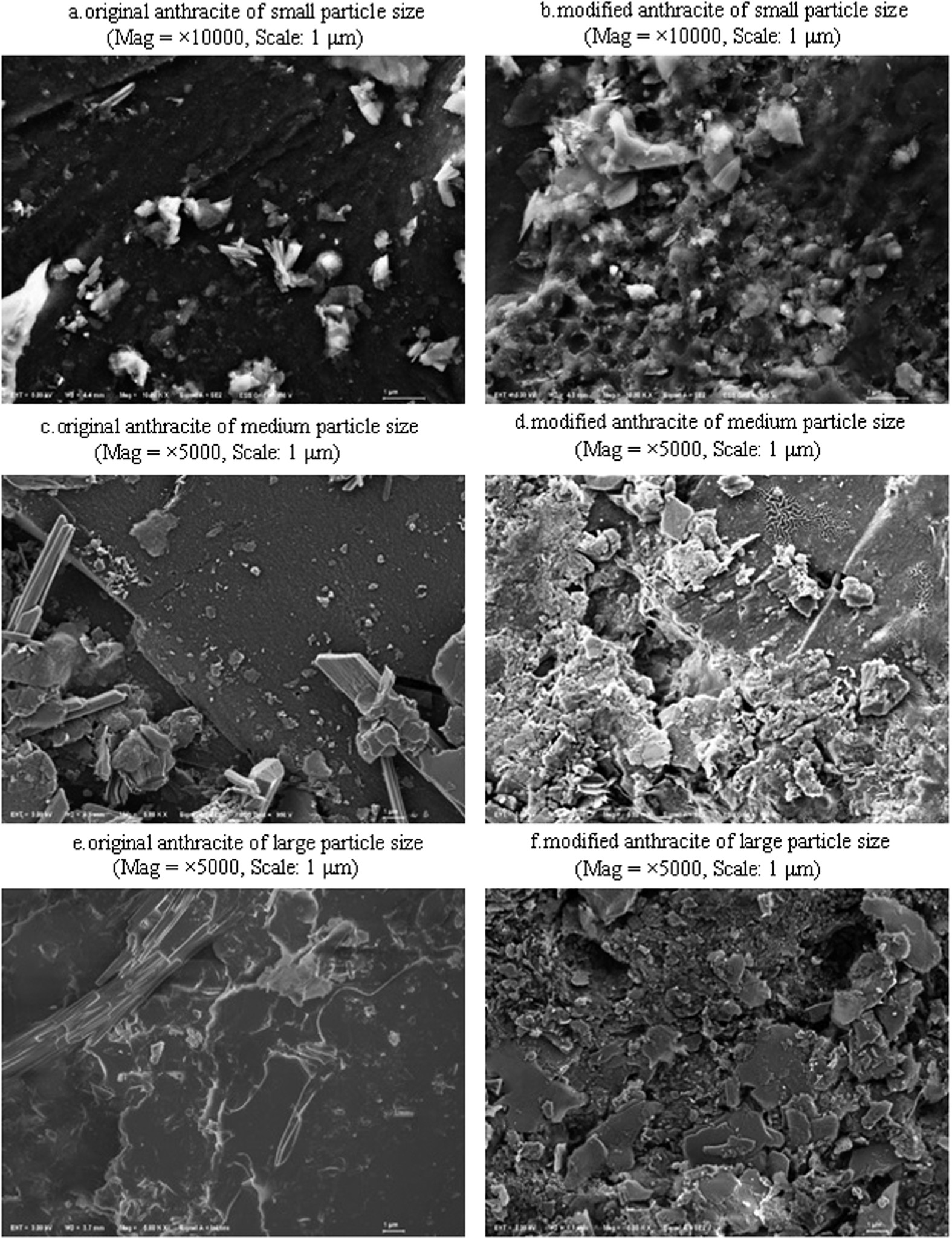 Removal of oxygen demand and nitrogen using different particle-sizes of  anthracite coated with nine kinds of LDHs for wastewater treatment |  Scientific Reports