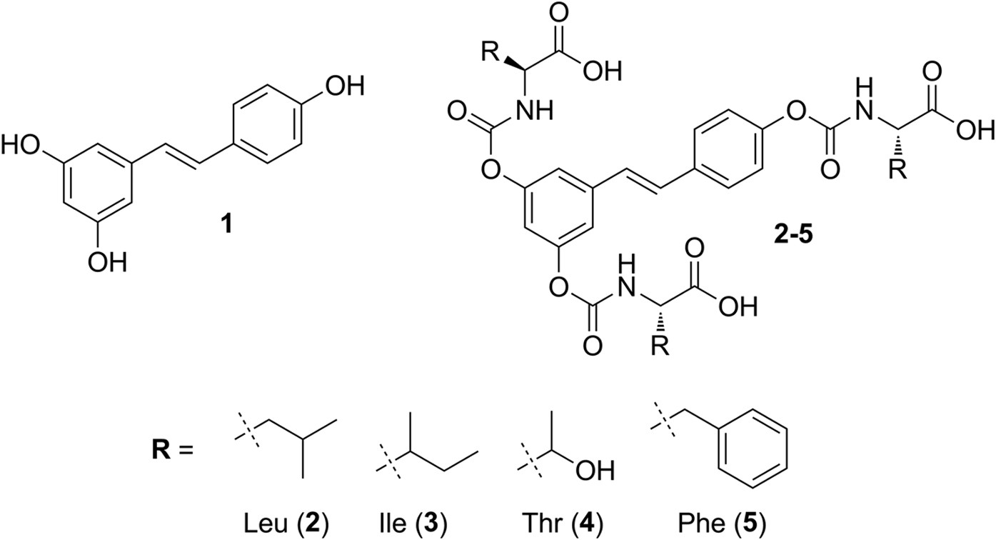 Amino Acid Carbamates As Prodrugs Of Resveratrol Scientific Reports