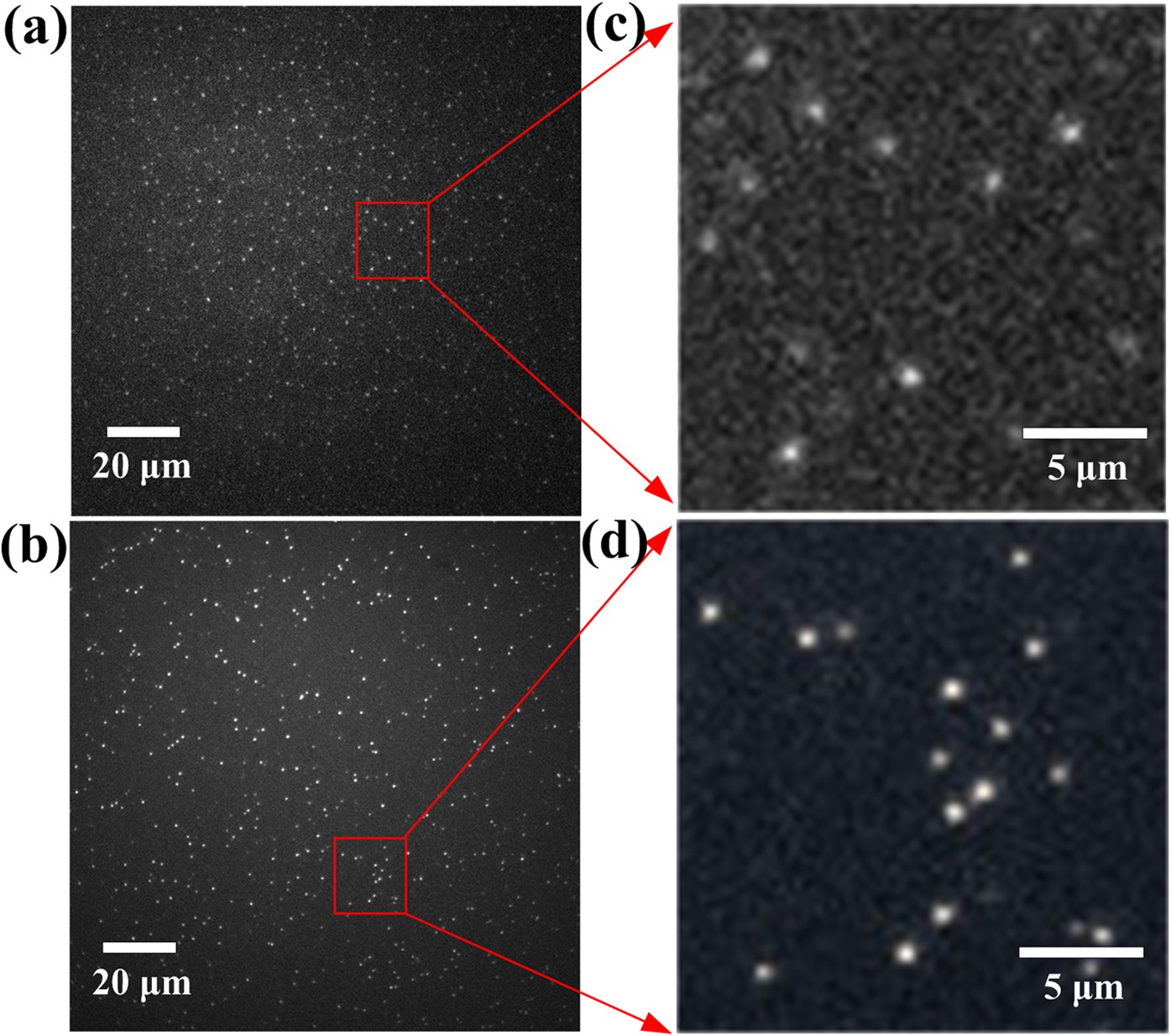 Non-blinking (Zn)CuInS/ZnS Quantum Dots Prepared Situ Interfacial Alloying Approach | Reports