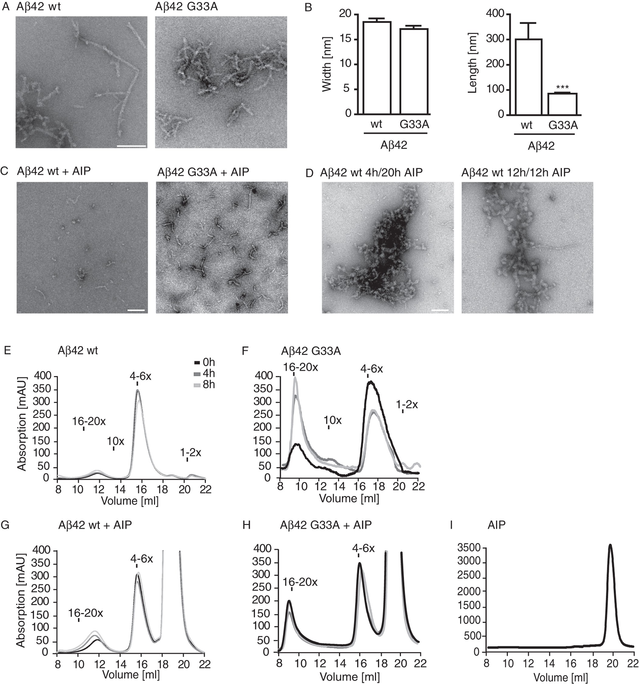 Ab42 Oligomer Interacting Peptide Aip Neutralizes Toxic Amyloid B42 Species And Protects Synaptic Structure And Function Scientific Reports Ab42 Oligomer Interacting Peptide Aip Neutralizes Toxic Amyloid B42 Species And Protects Synaptic Structure And Function Scientific Reports