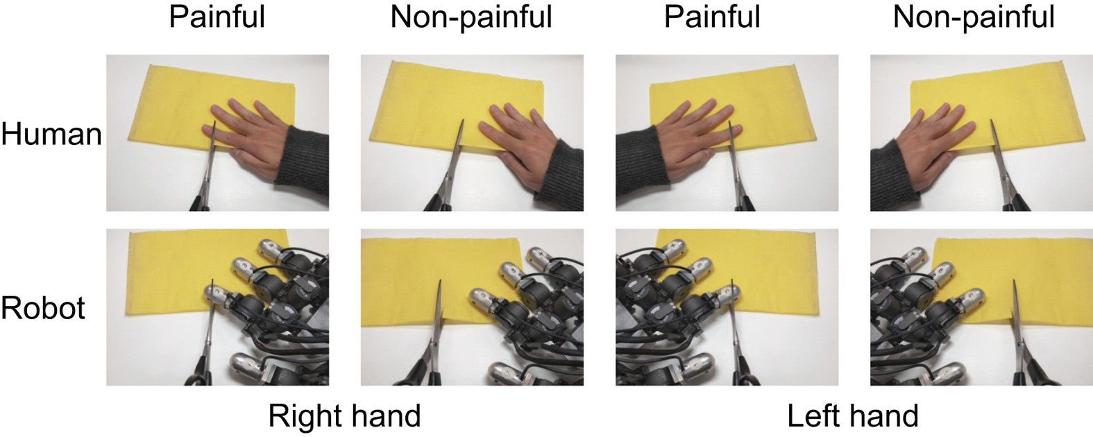 Aftensmad Instruere sovjetisk Measuring empathy for human and robot hand pain using  electroencephalography | Scientific Reports