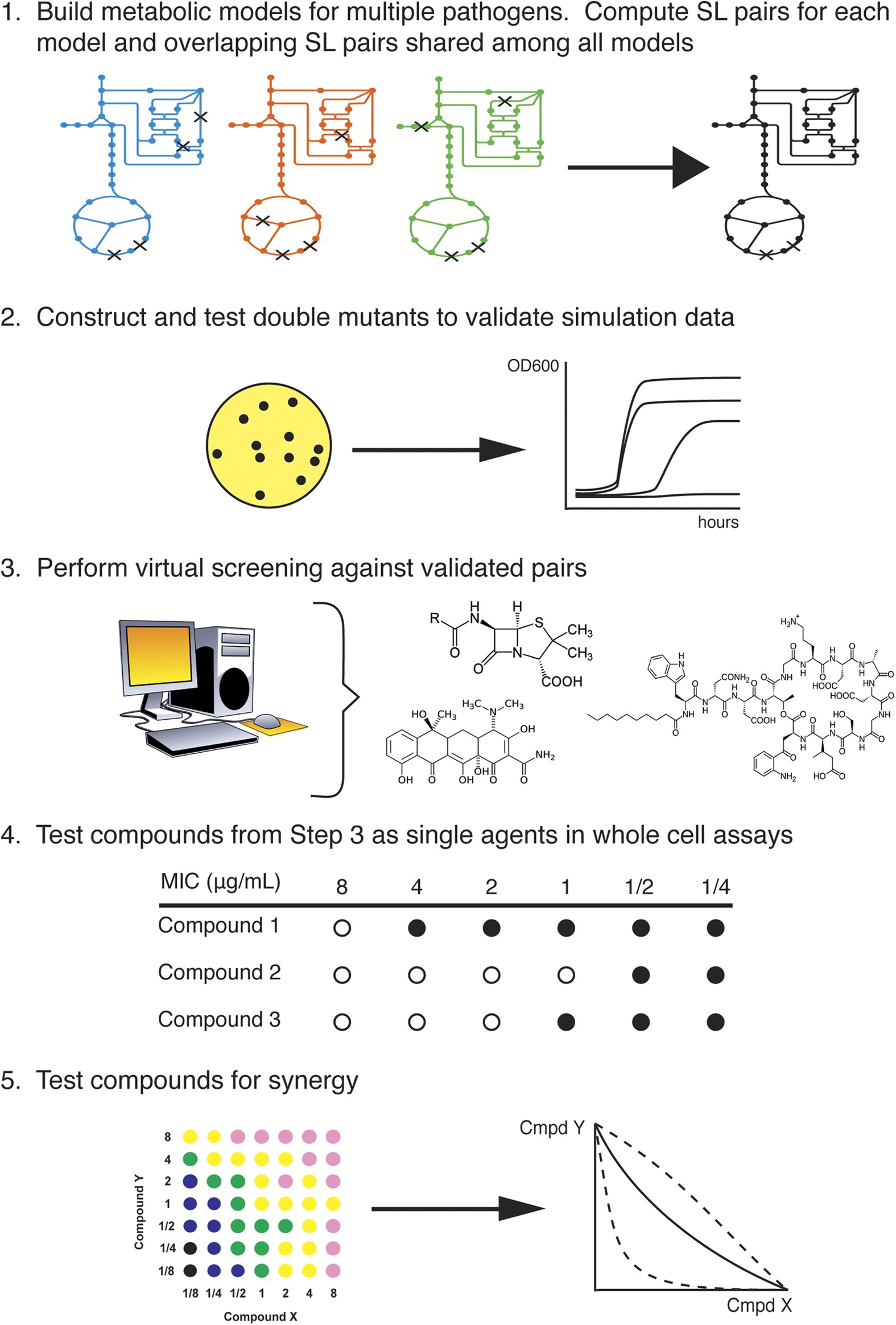 Systems biology-guided identification of synthetic lethal gene pairs and  its potential use to discover antibiotic combinations | Scientific Reports