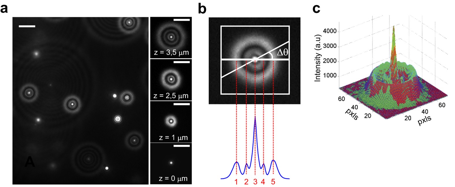 20D tracking of single nanoparticles and quantum dots in living ...