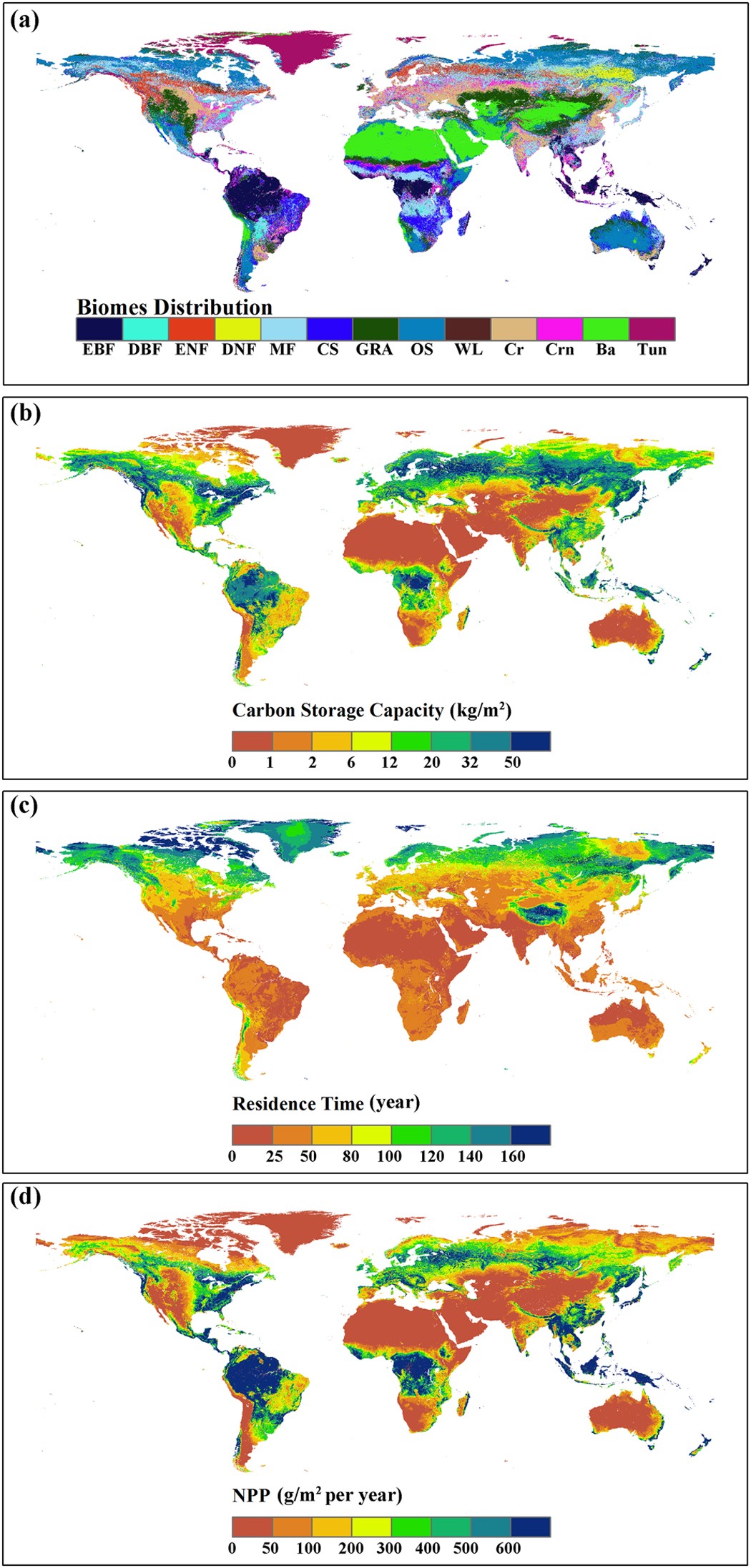 Physical and chemical properties of Coarse Woody Debris submitted to the  natural process of decomposition in a Secondary Atlantic Forest Fragment in  Brazil