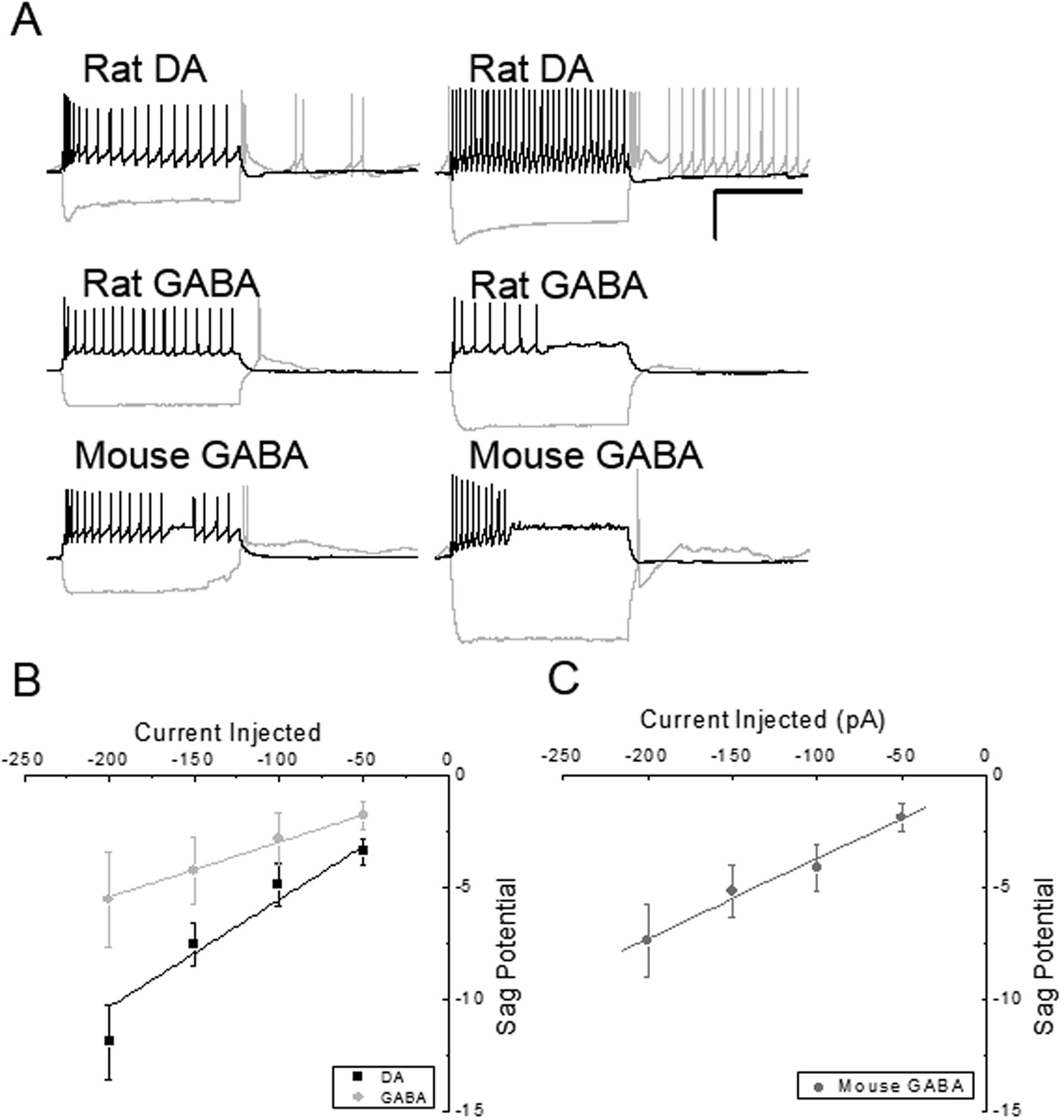 Ventral tegmental area dopamine and GABA neurons: Physiological properties  and expression of mRNA for endocannabinoid biosynthetic elements |  Scientific Reports
