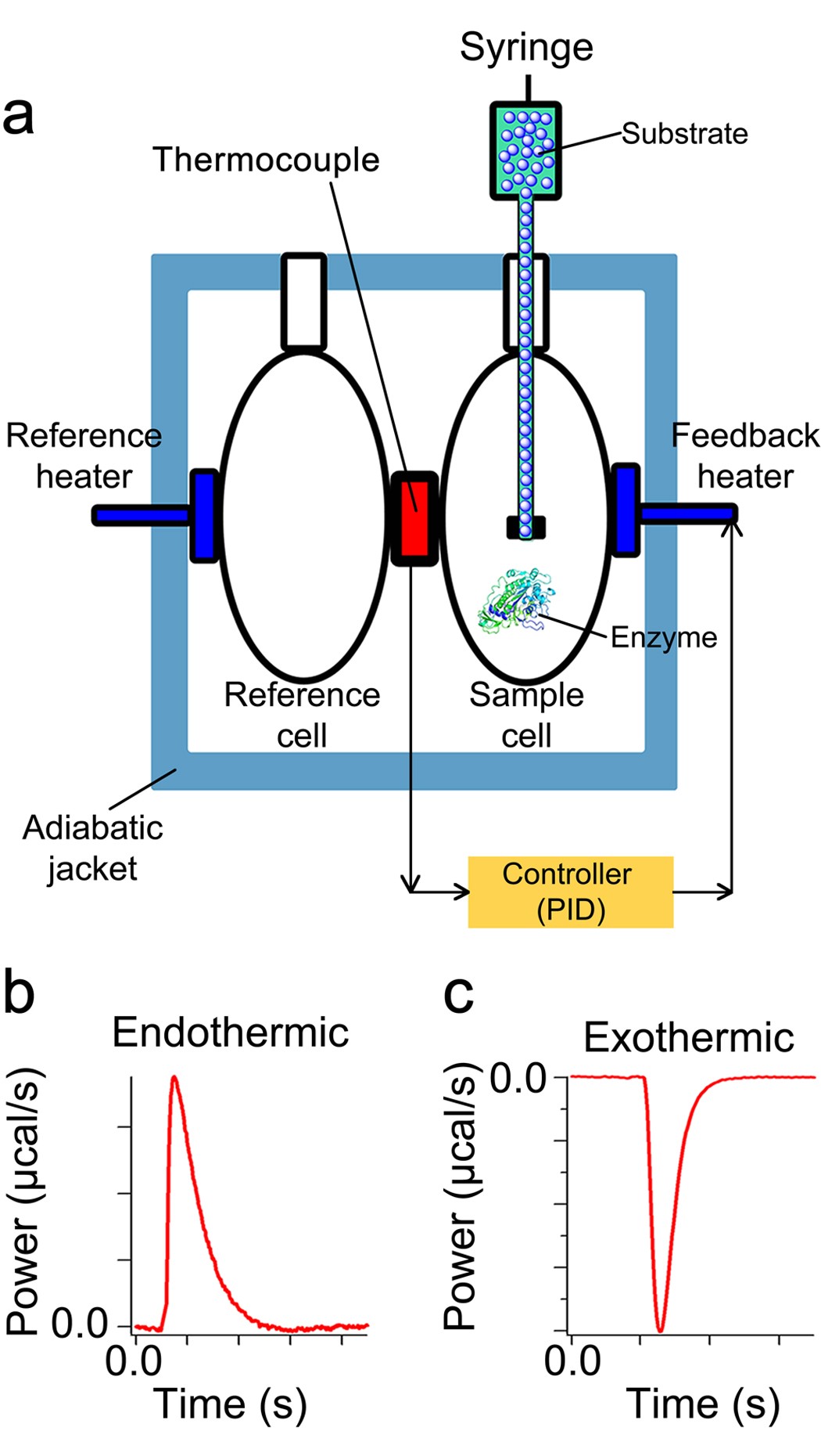 Accurate Label Free Reaction Kinetics Determination Using Initial Rate Heat Measurements Scientific Reports