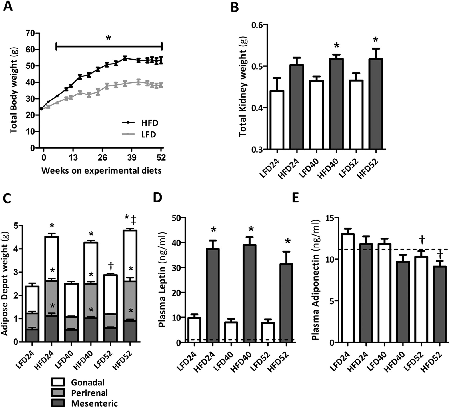 Obesity-induced chronic inflammation in high fat diet challenged C57BL/6J mice is associated with acceleration of age-dependent renal amyloidosis | Scientific Reports Obesity-induced chronic inflammation in high fat diet challenged C57BL/6J mice is associated with acceleration of age-dependent renal amyloidosis | Scientific Reports